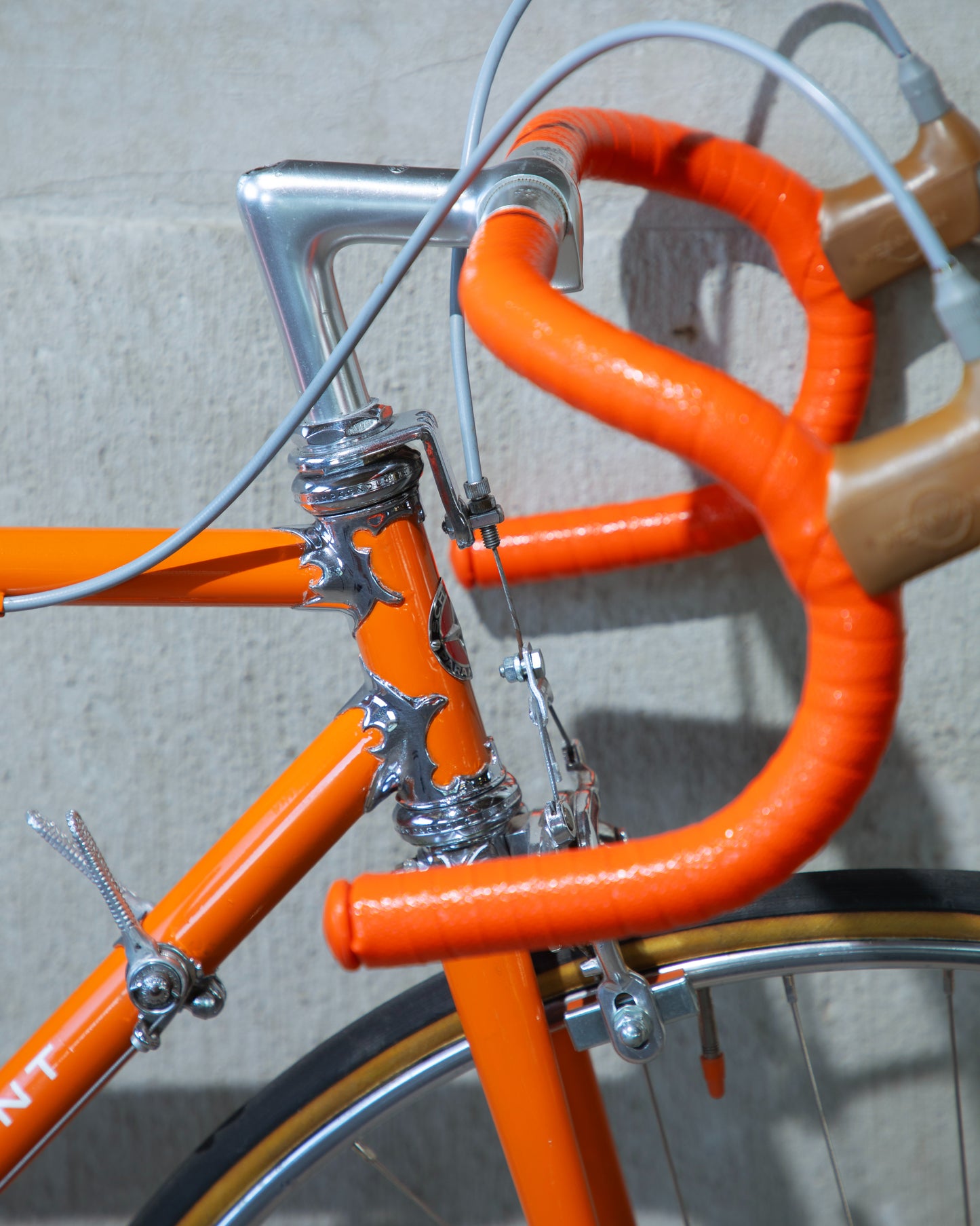 Schwinn Paramount