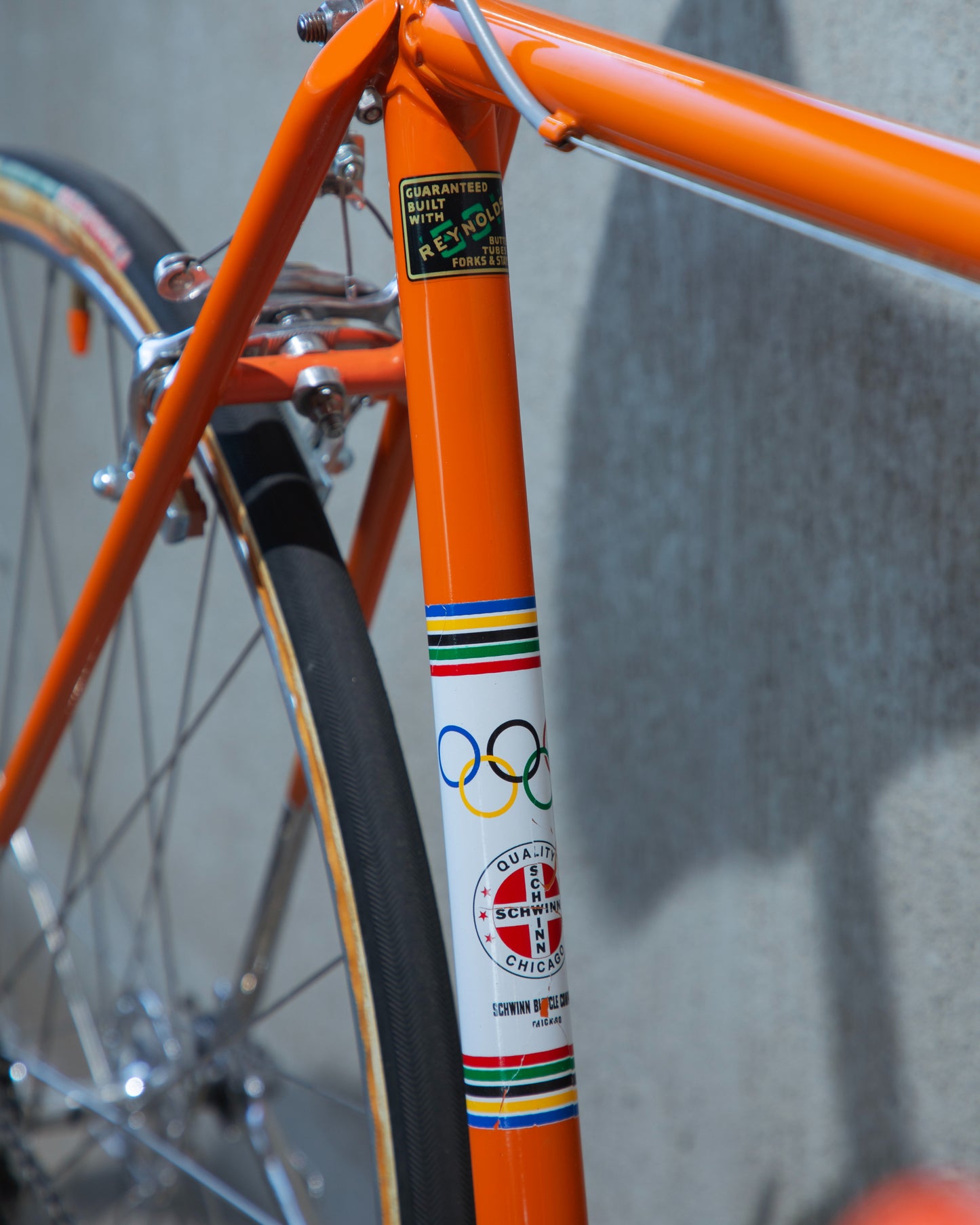 Schwinn Paramount