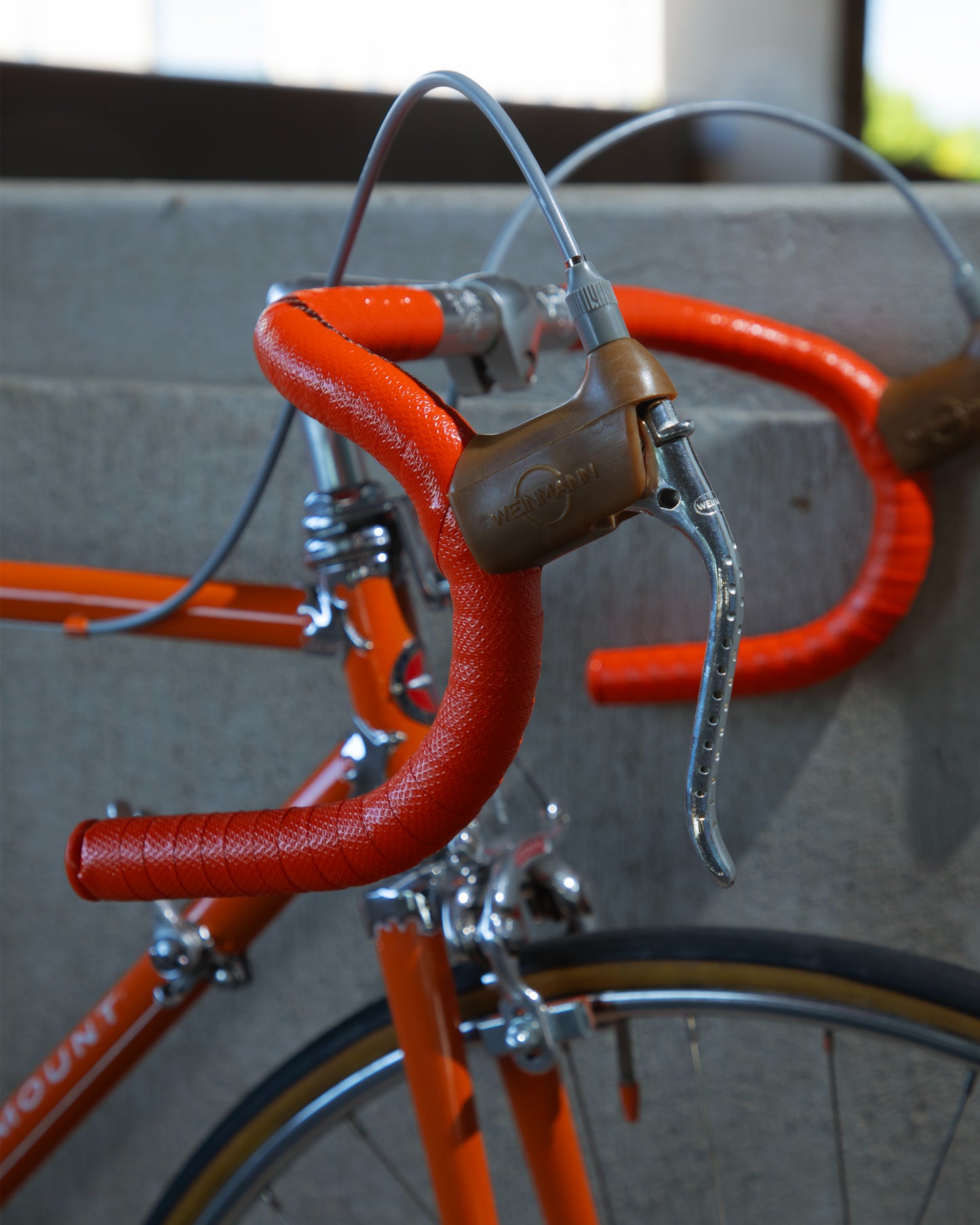 Schwinn Paramount