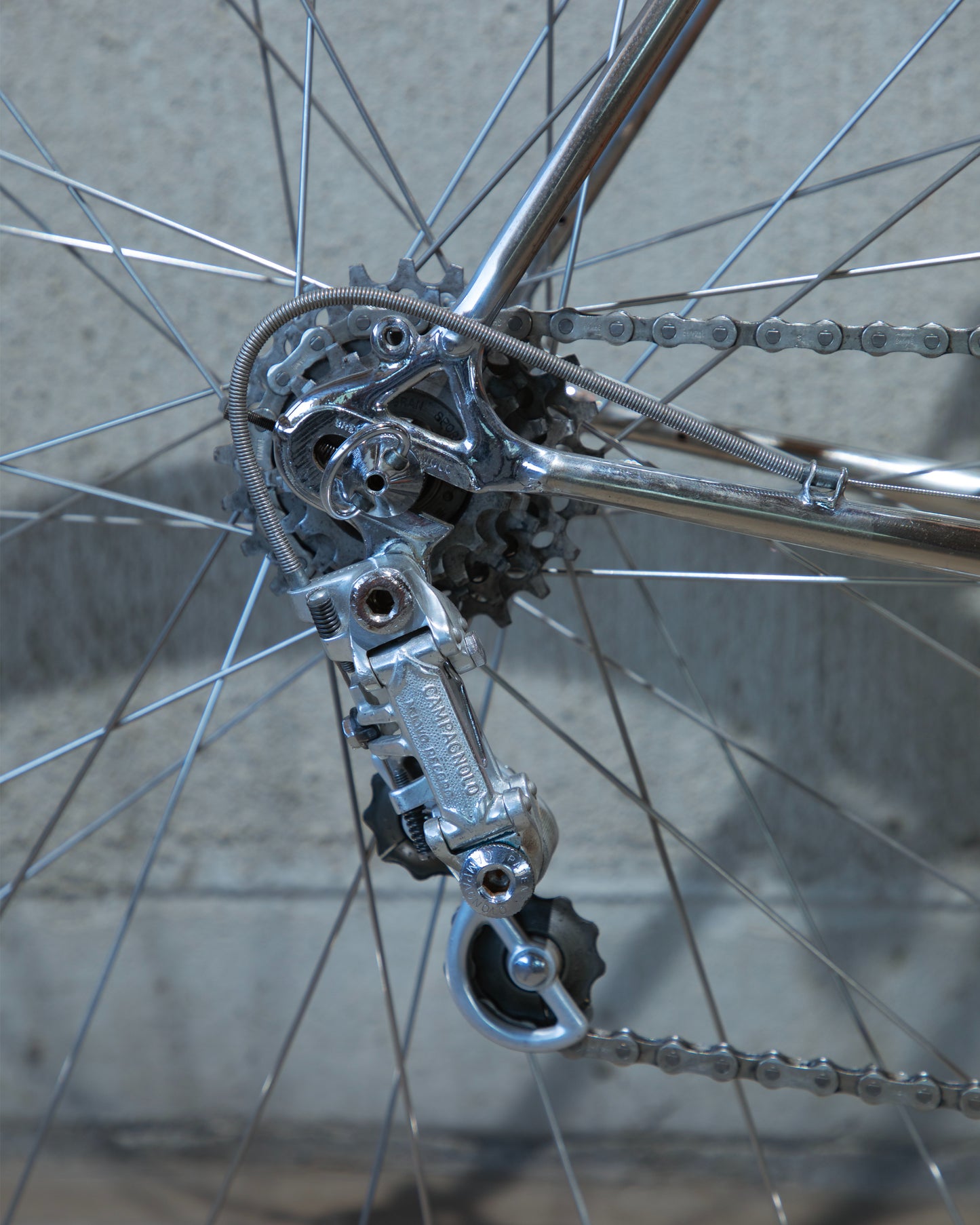 Schwinn Paramount