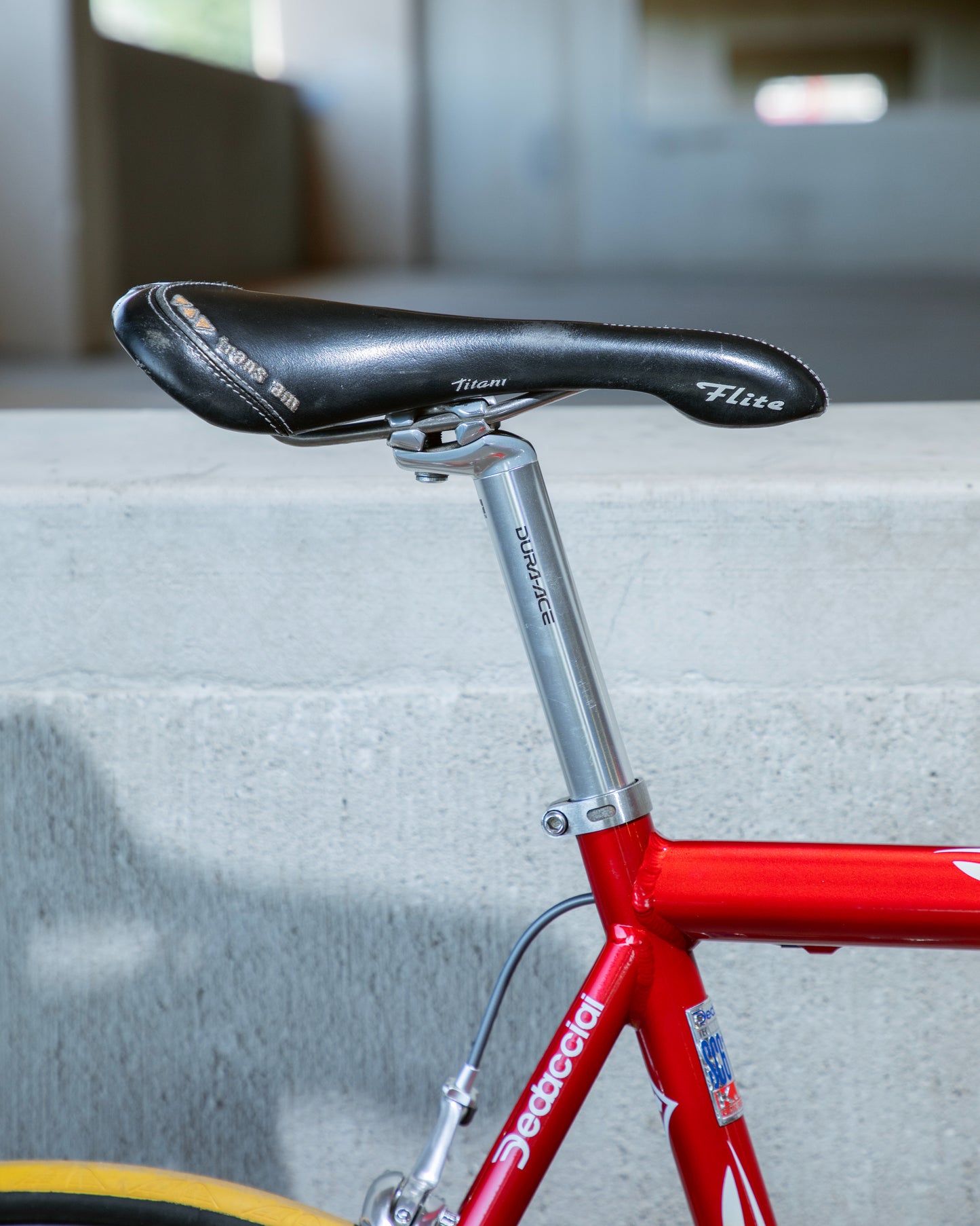 Tommasini Colorado