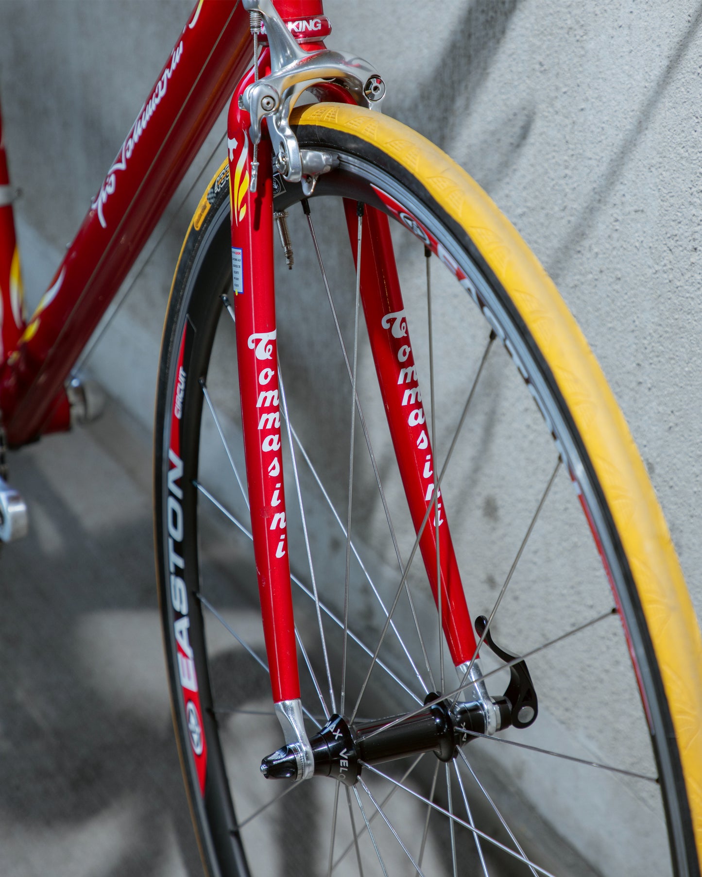 Tommasini Colorado