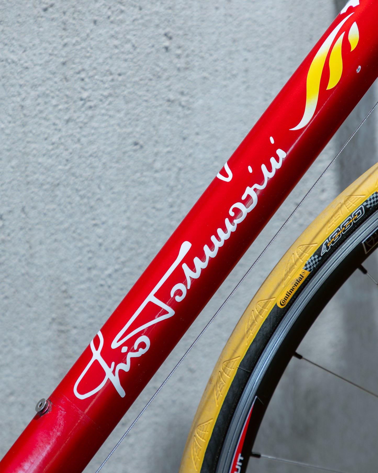 Tommasini Colorado