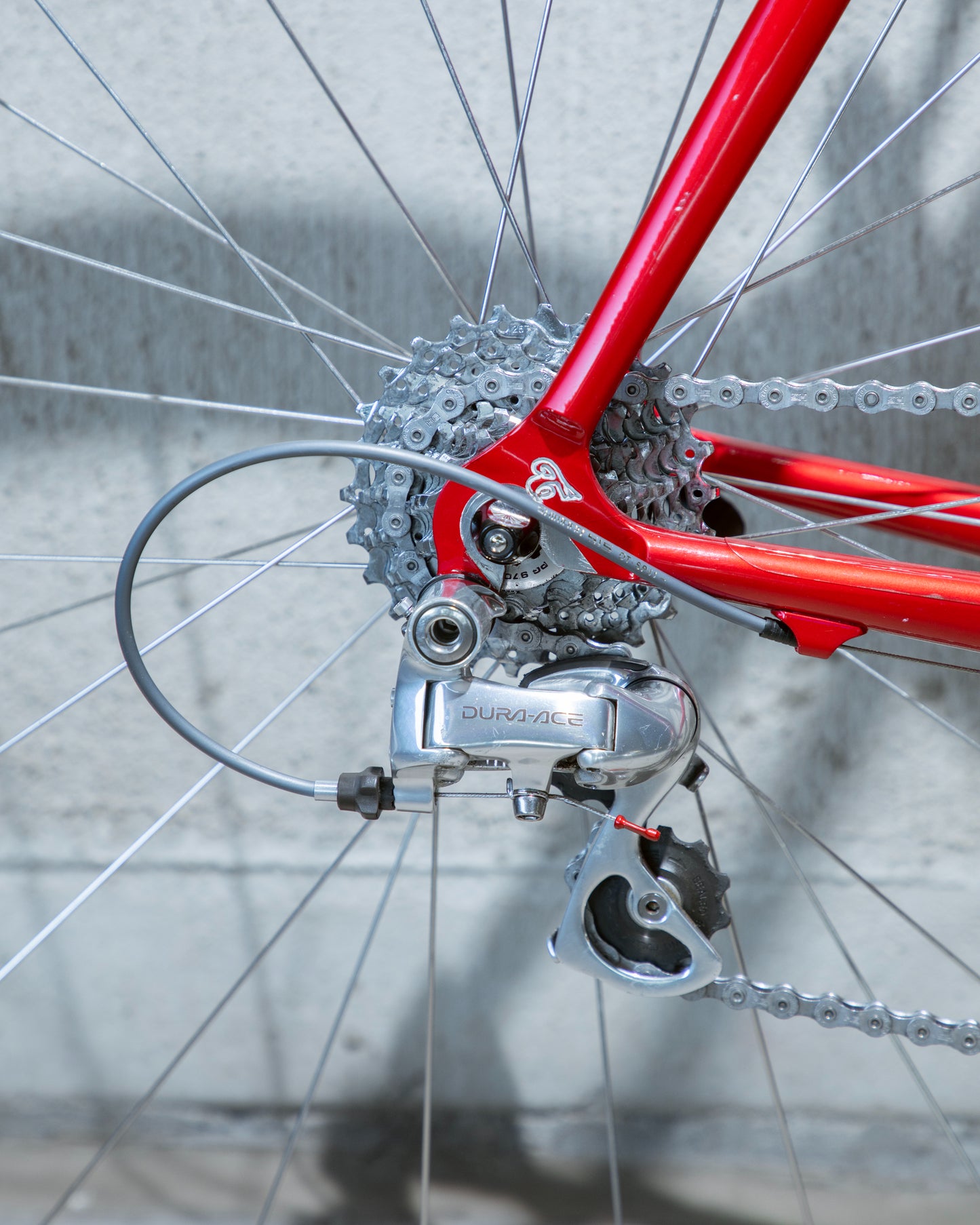 Tommasini Colorado