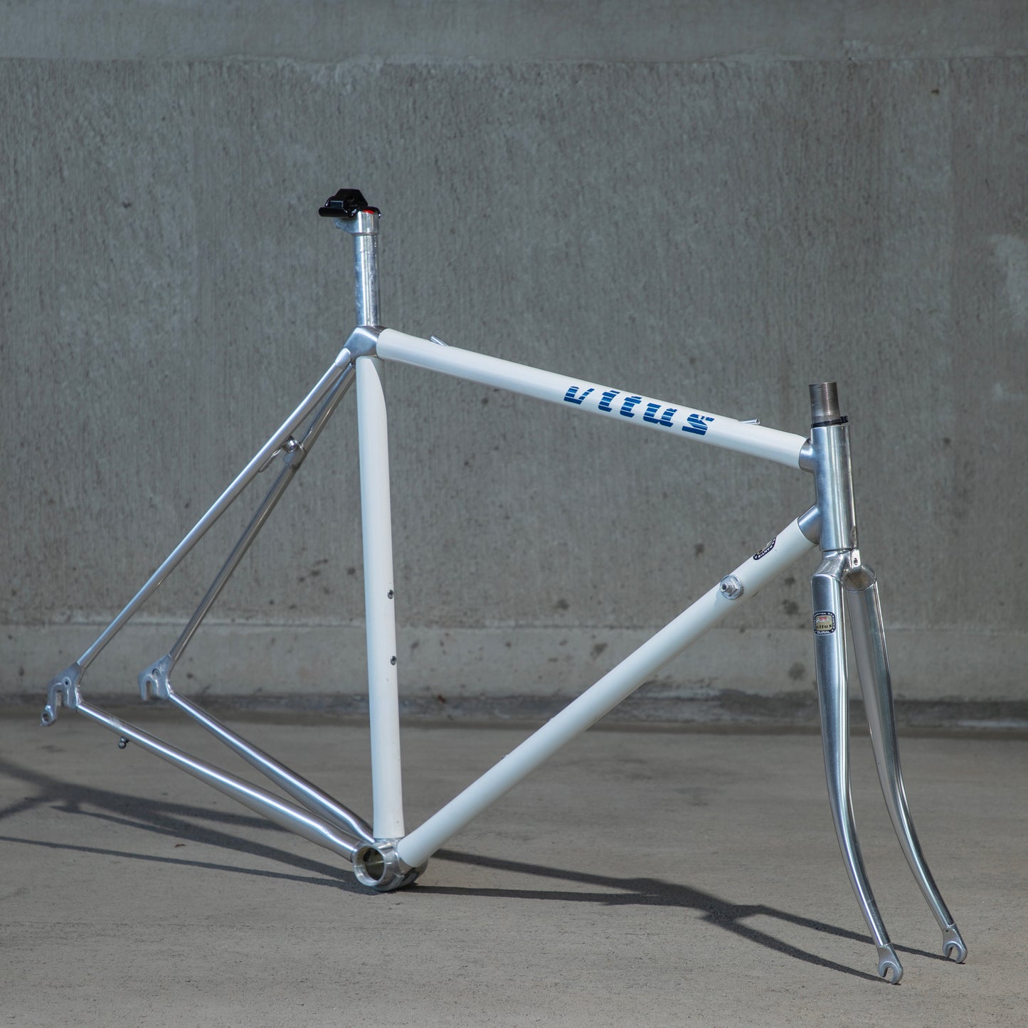Vitus 979