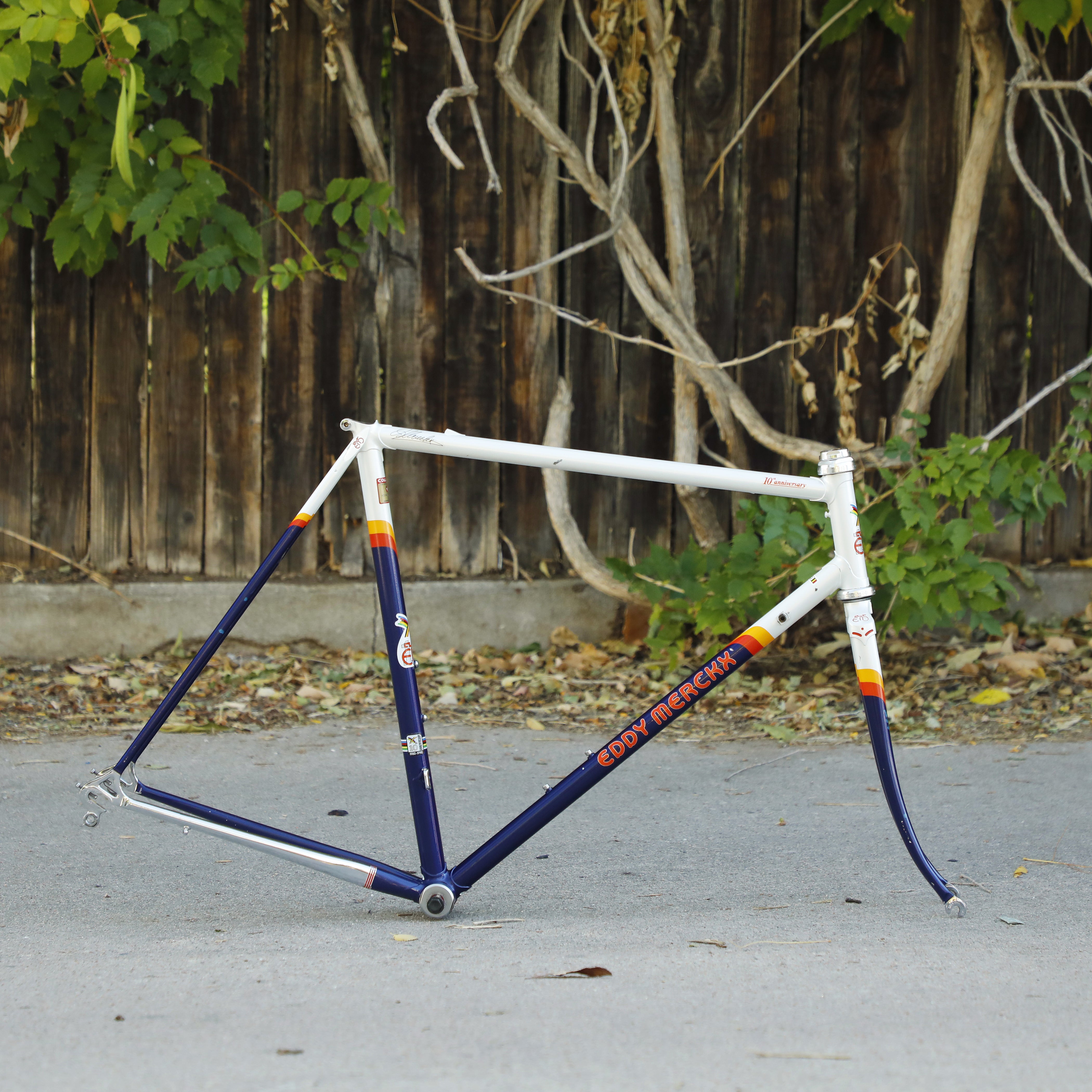 アメステ Eddy Merckx 10th Anniversary – Ben's Cycles Denver