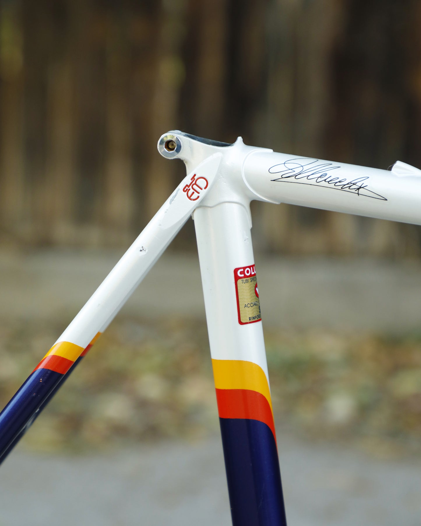 Eddy Merckx 10th Anniversary