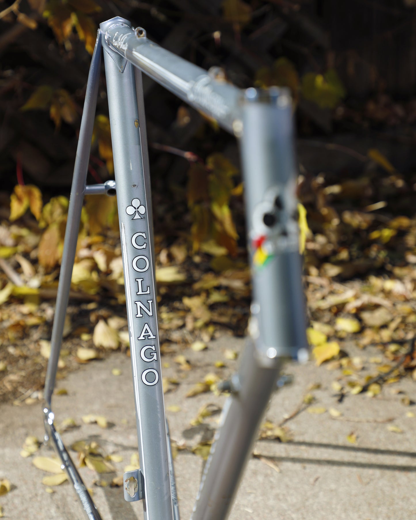 Colnago Arabesque