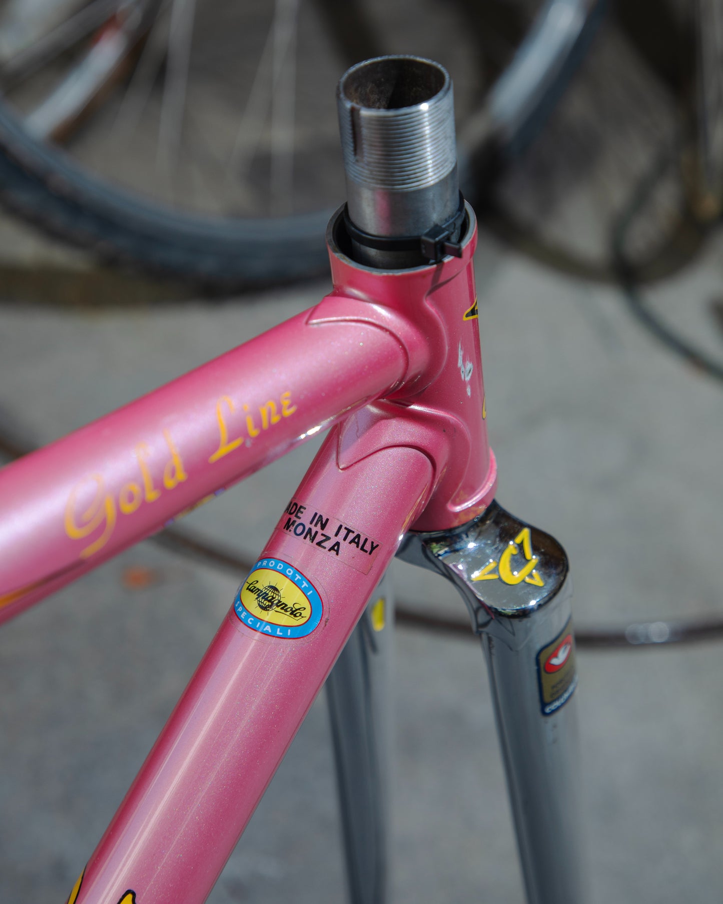 Casati Monza Gold Line Track