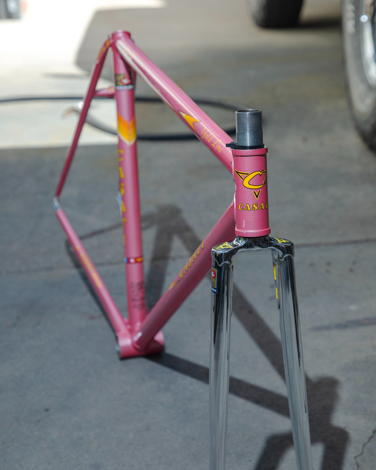 Casati Monza Gold Line Track