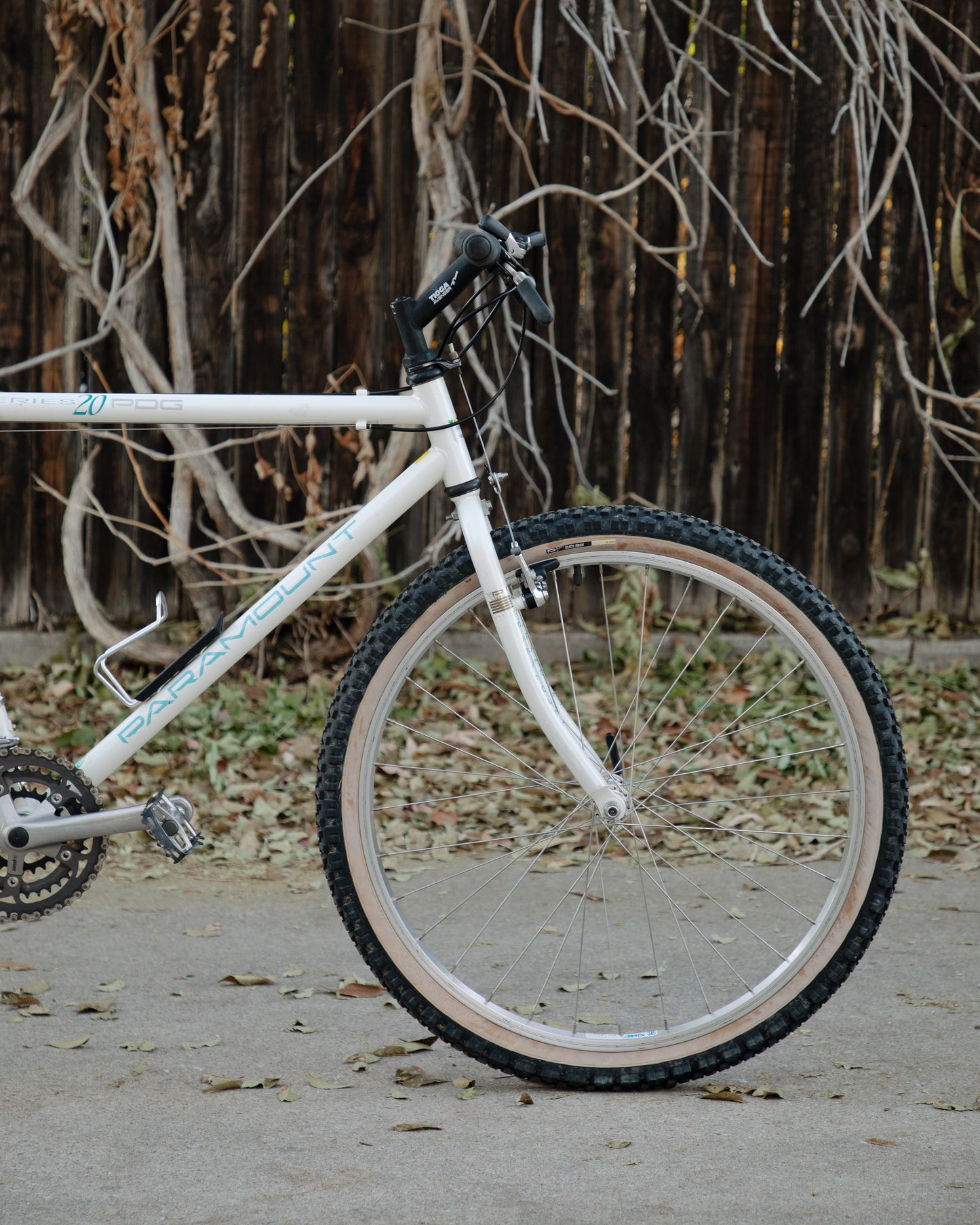 Schwinn Paramount MOS Series 20