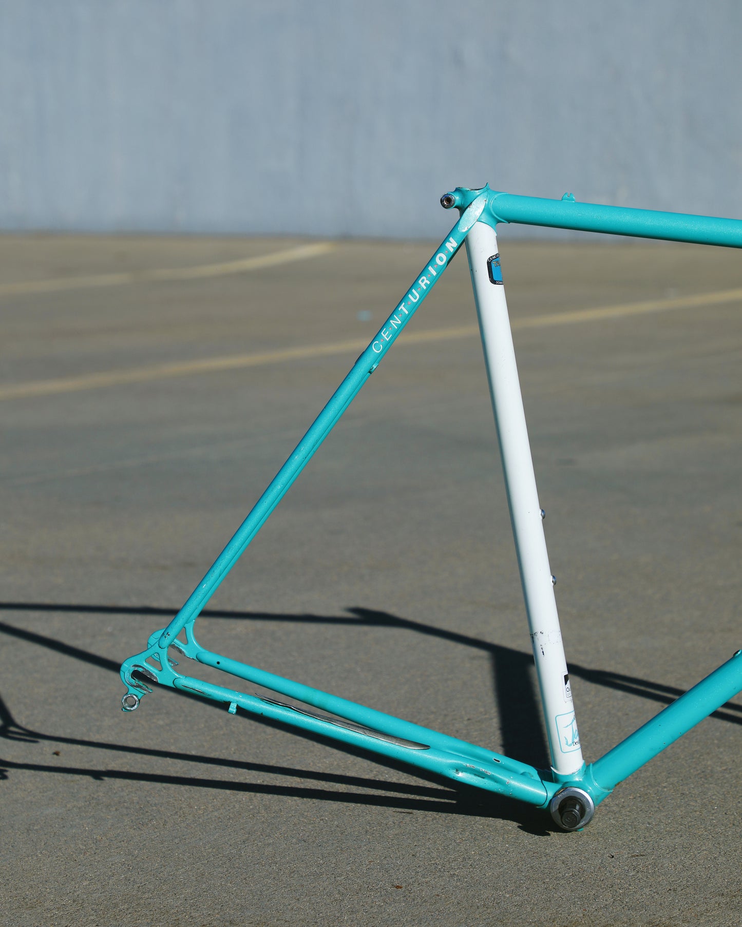 Centurion Ironman Dave Scott Master