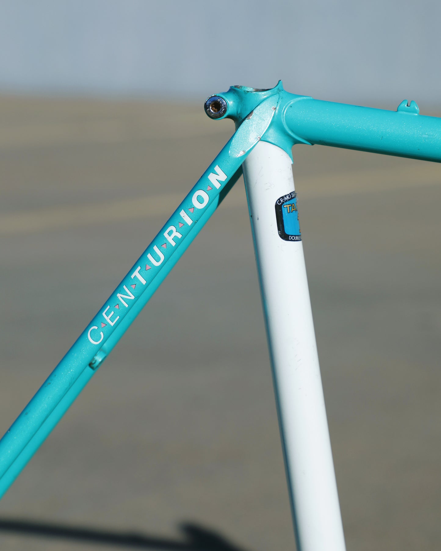 Centurion Ironman Dave Scott Master