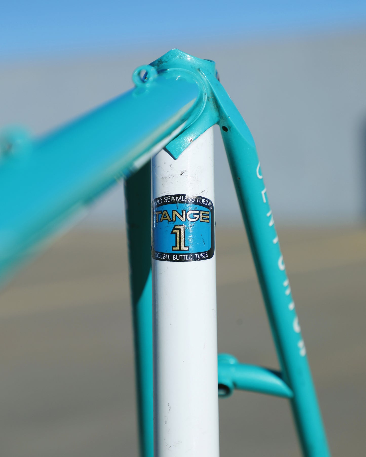 Centurion Ironman Dave Scott Master