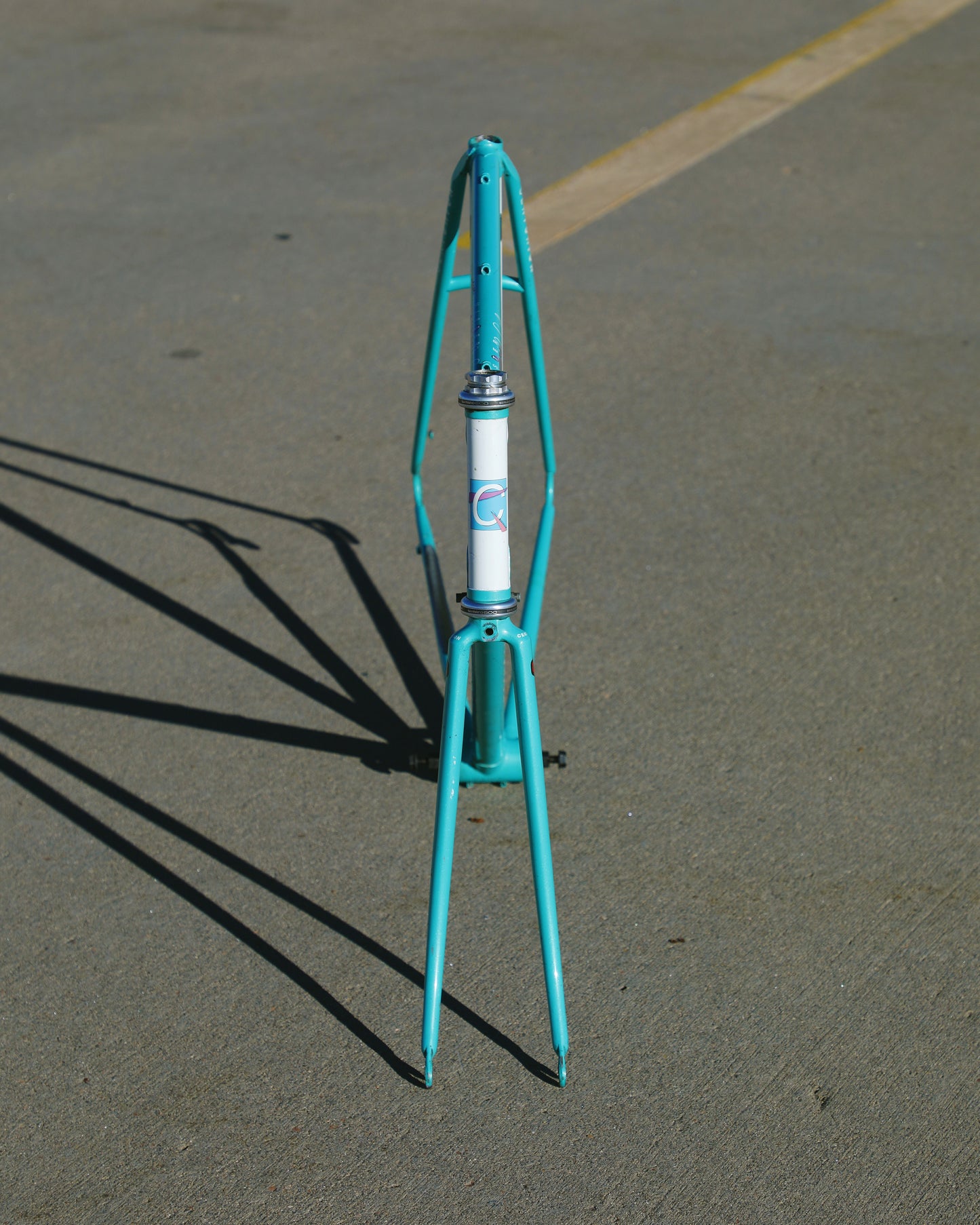 Centurion Ironman Dave Scott Master