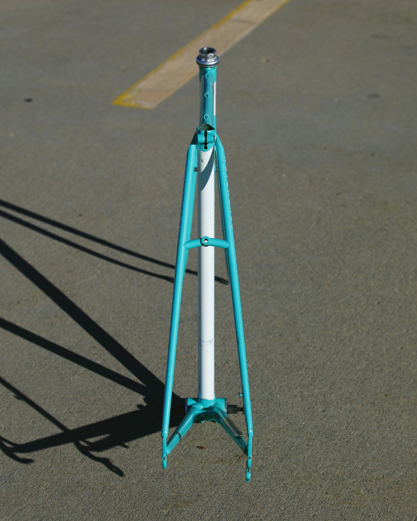 Centurion Ironman Dave Scott Master