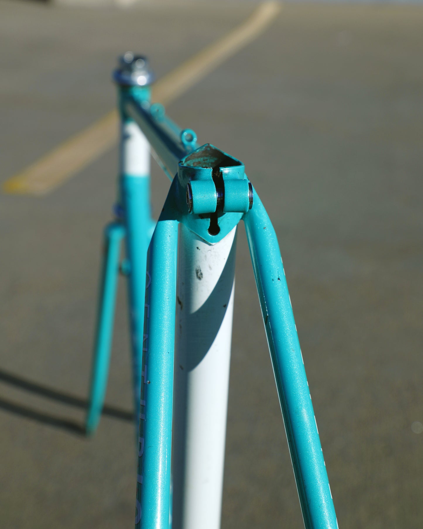 Centurion Ironman Dave Scott Master