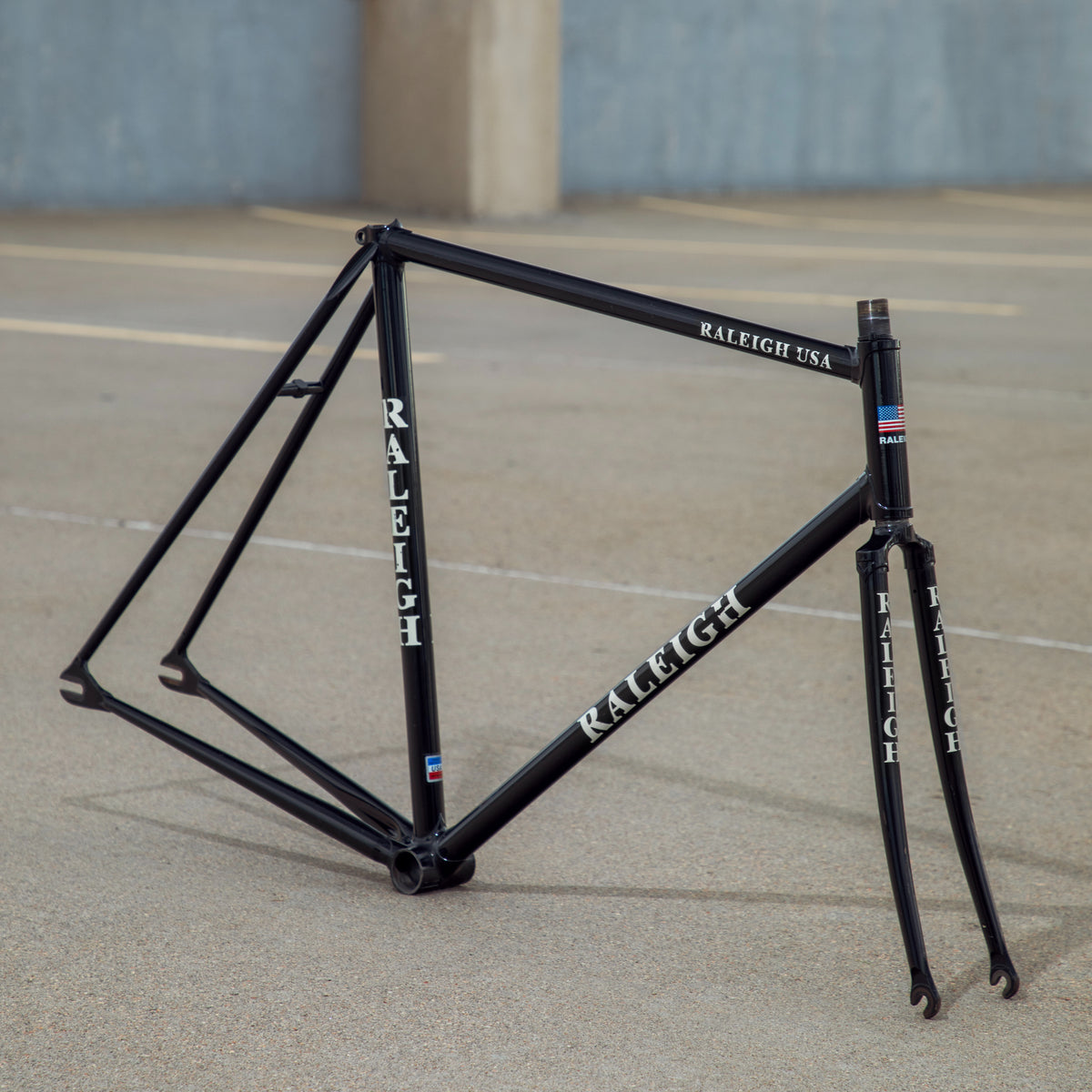 Raleigh / Huffy Track Frame