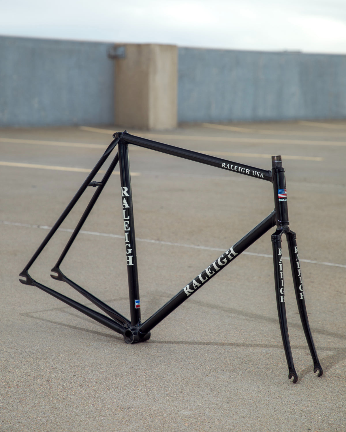 Raleigh / Huffy Track Frame