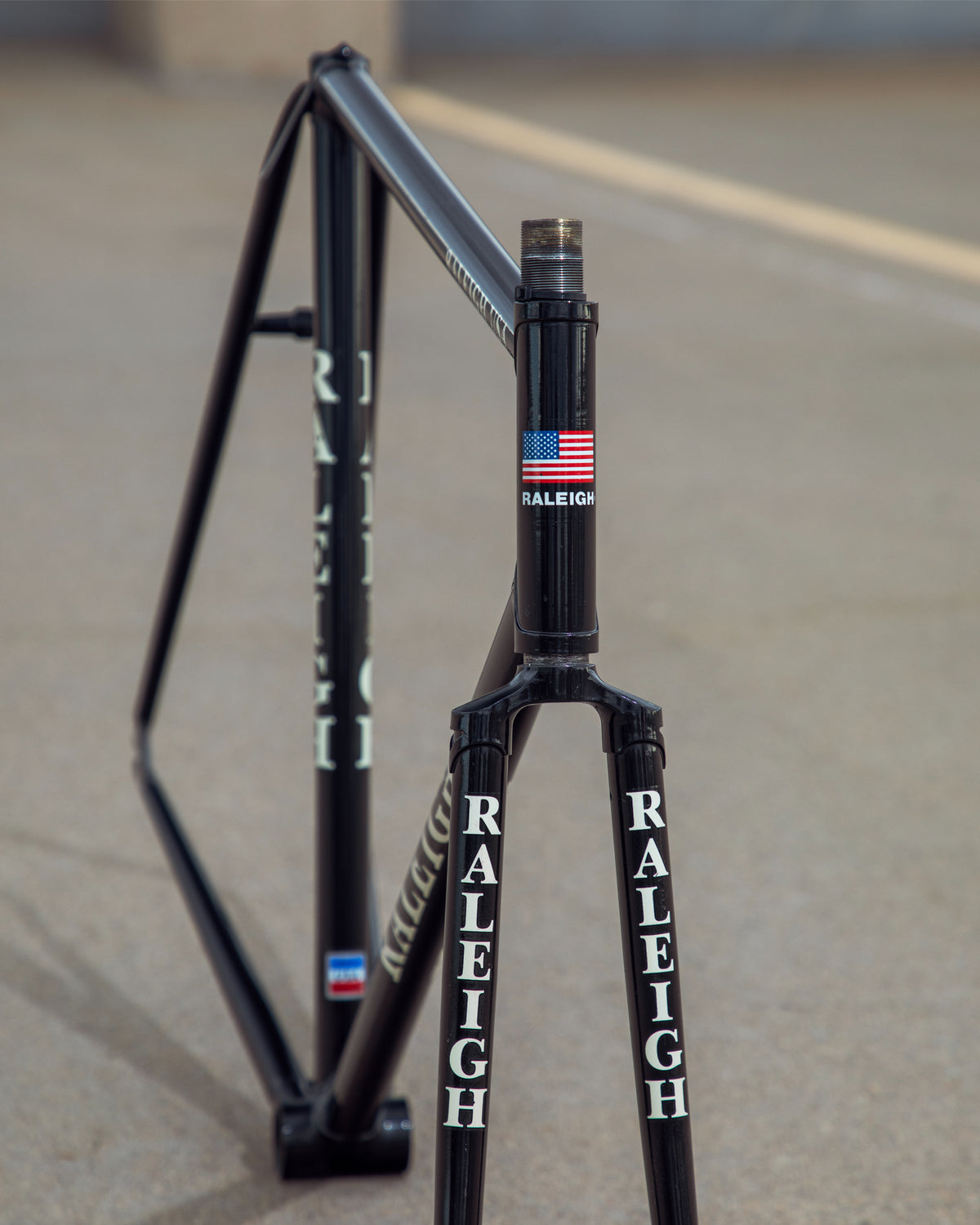 Raleigh / Huffy Track Frame