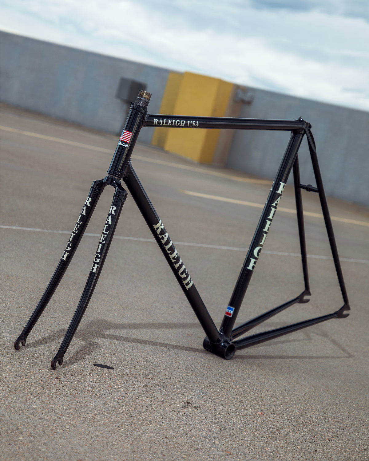 Raleigh / Huffy Track Frame