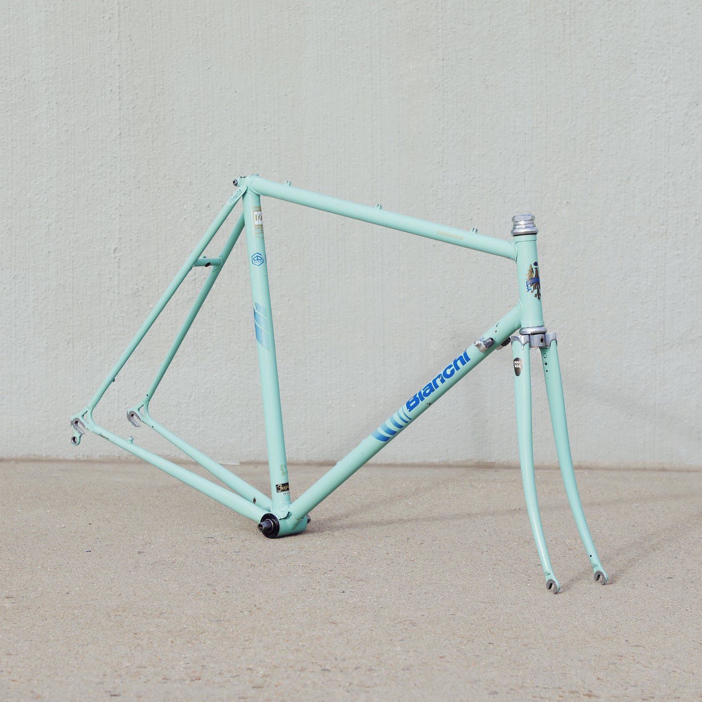 Bianchi Professional