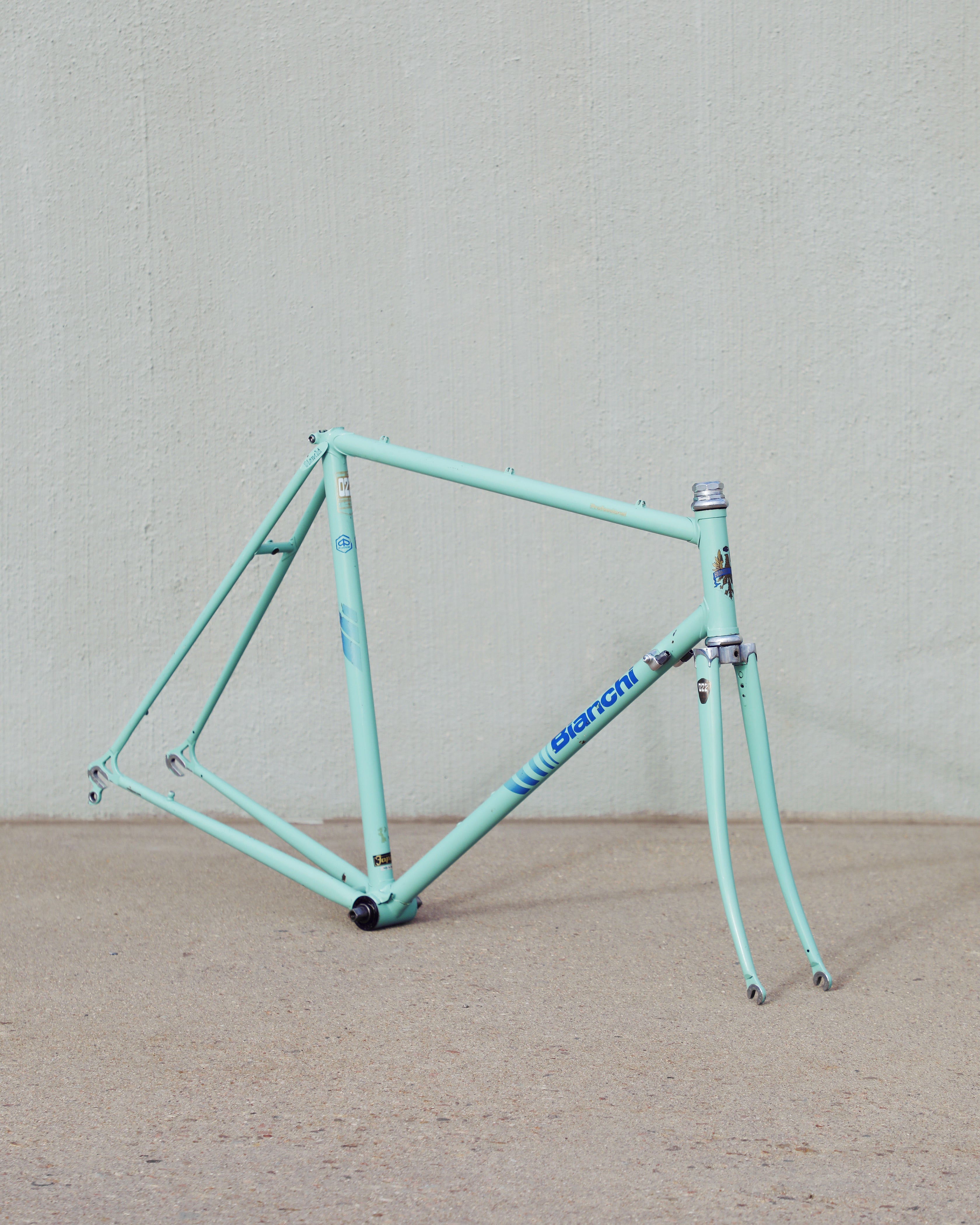 Bianchi Professional – Ben's Cycles Denver