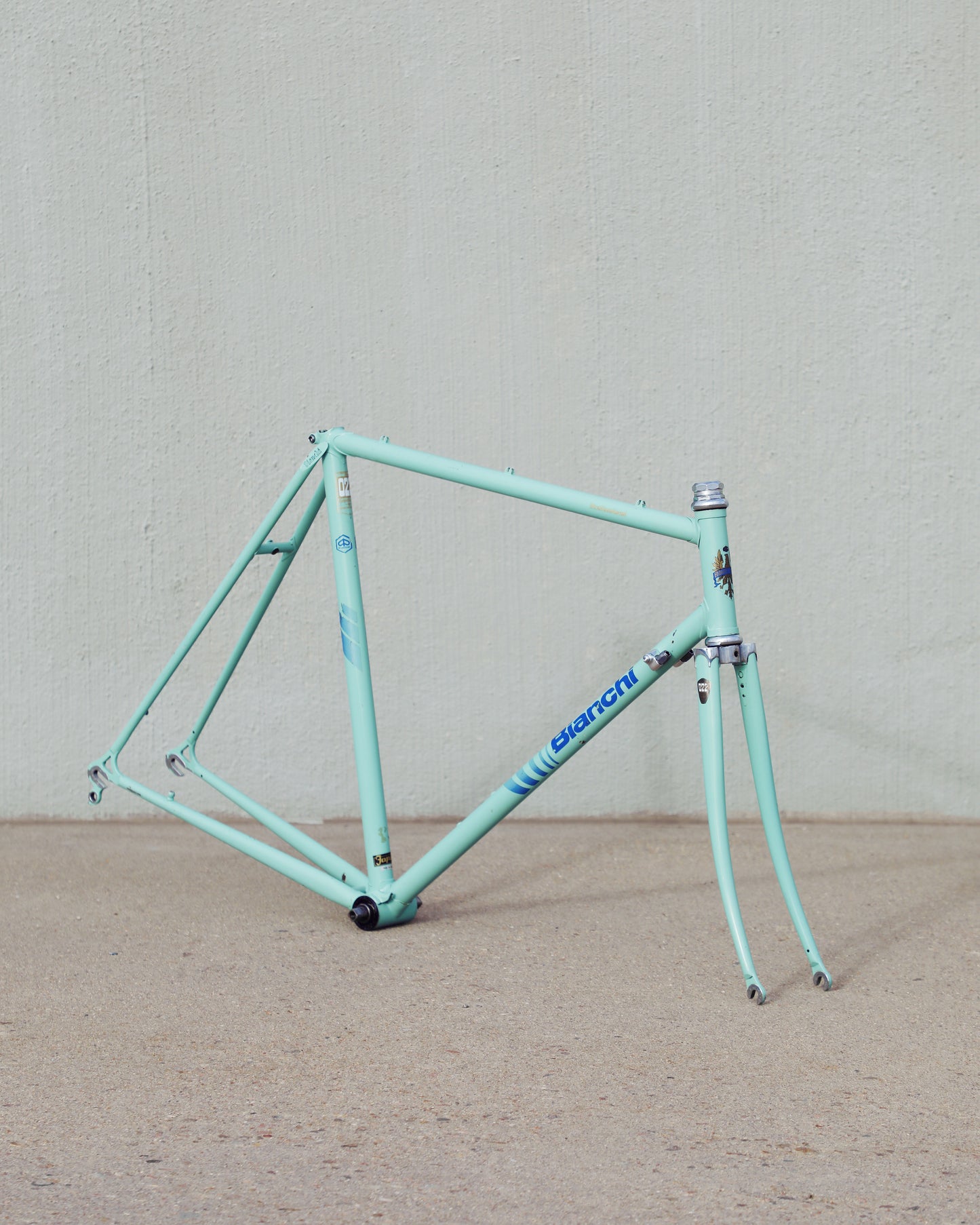 Bianchi Professional