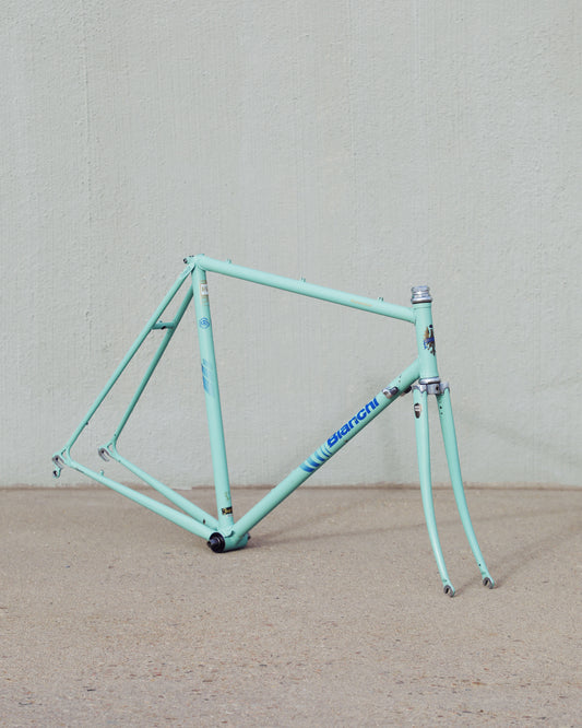 Bianchi Professional