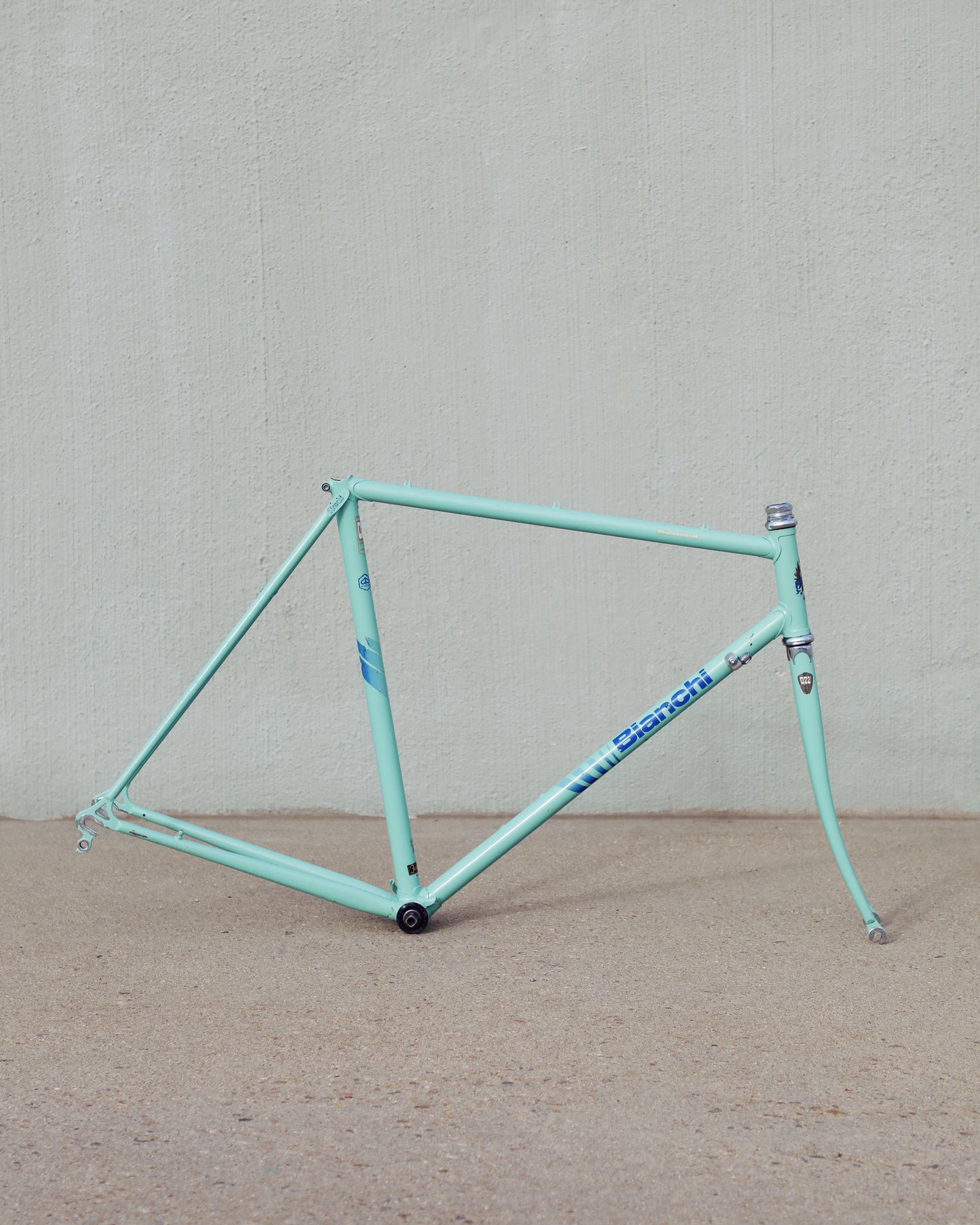 Bianchi Professional