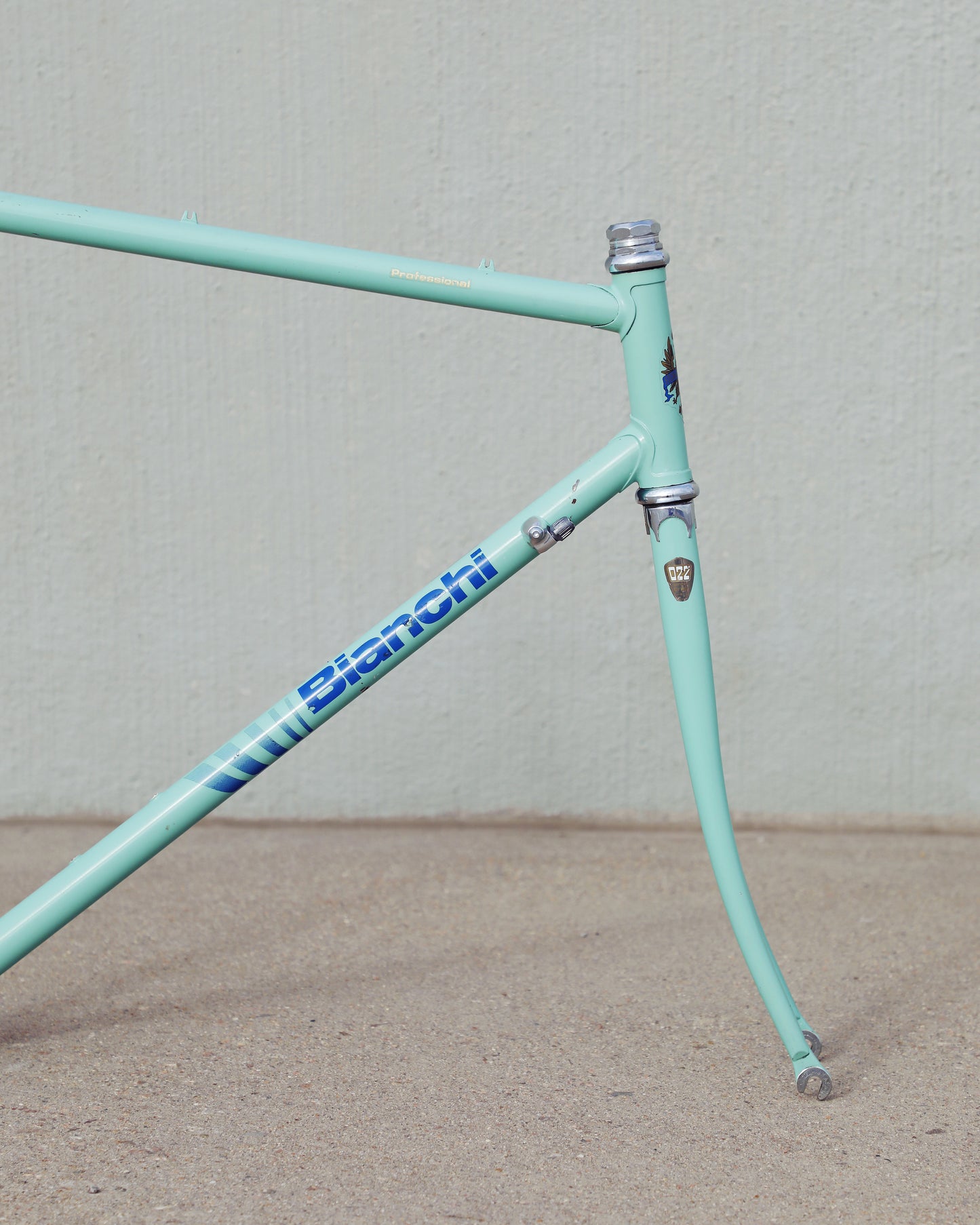 Bianchi Professional