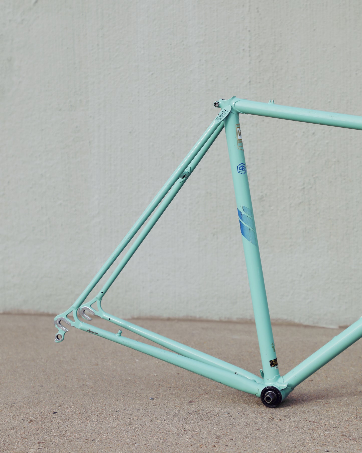 Bianchi Professional