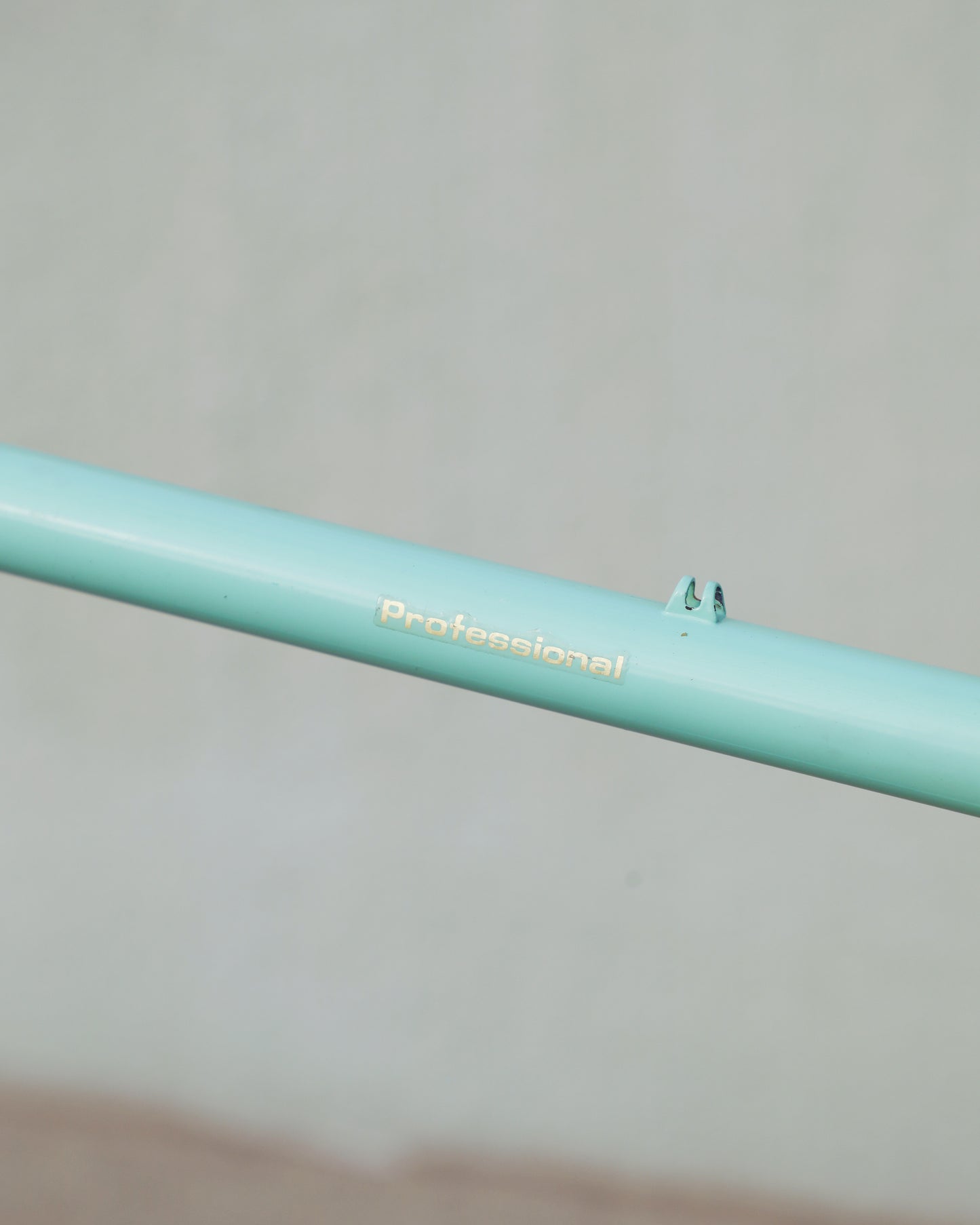 Bianchi Professional