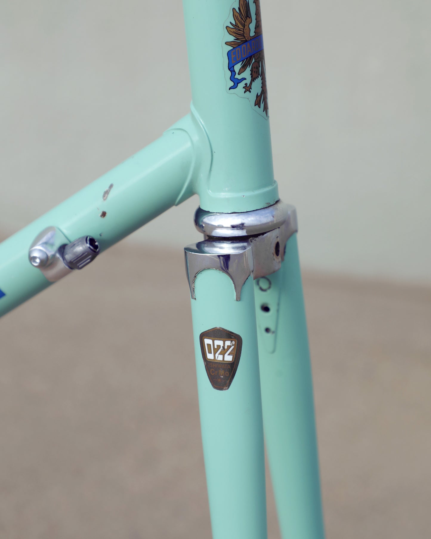 Bianchi Professional