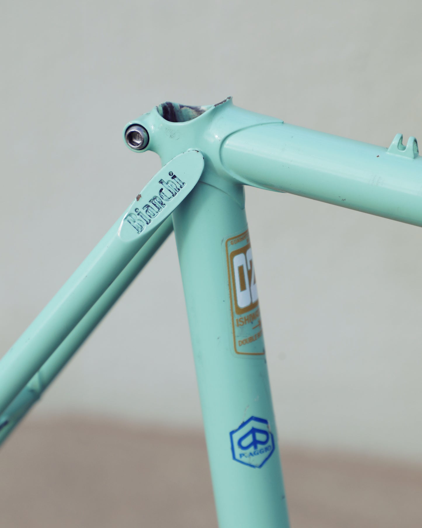 Bianchi Professional