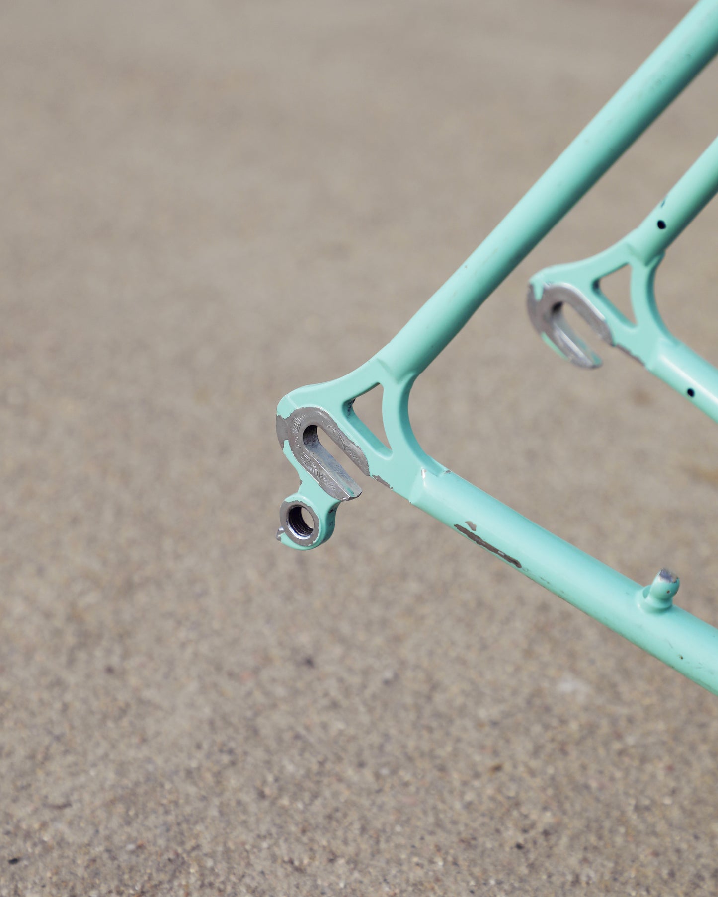 Bianchi Professional