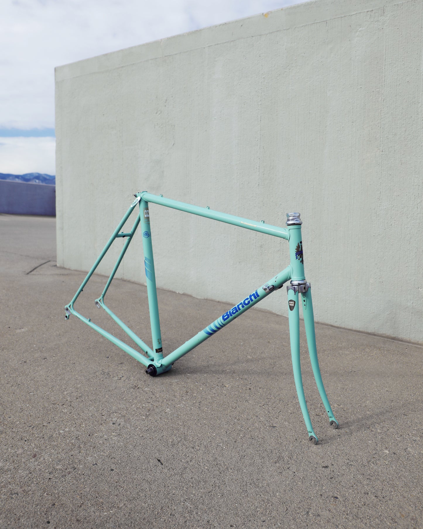 Bianchi Professional