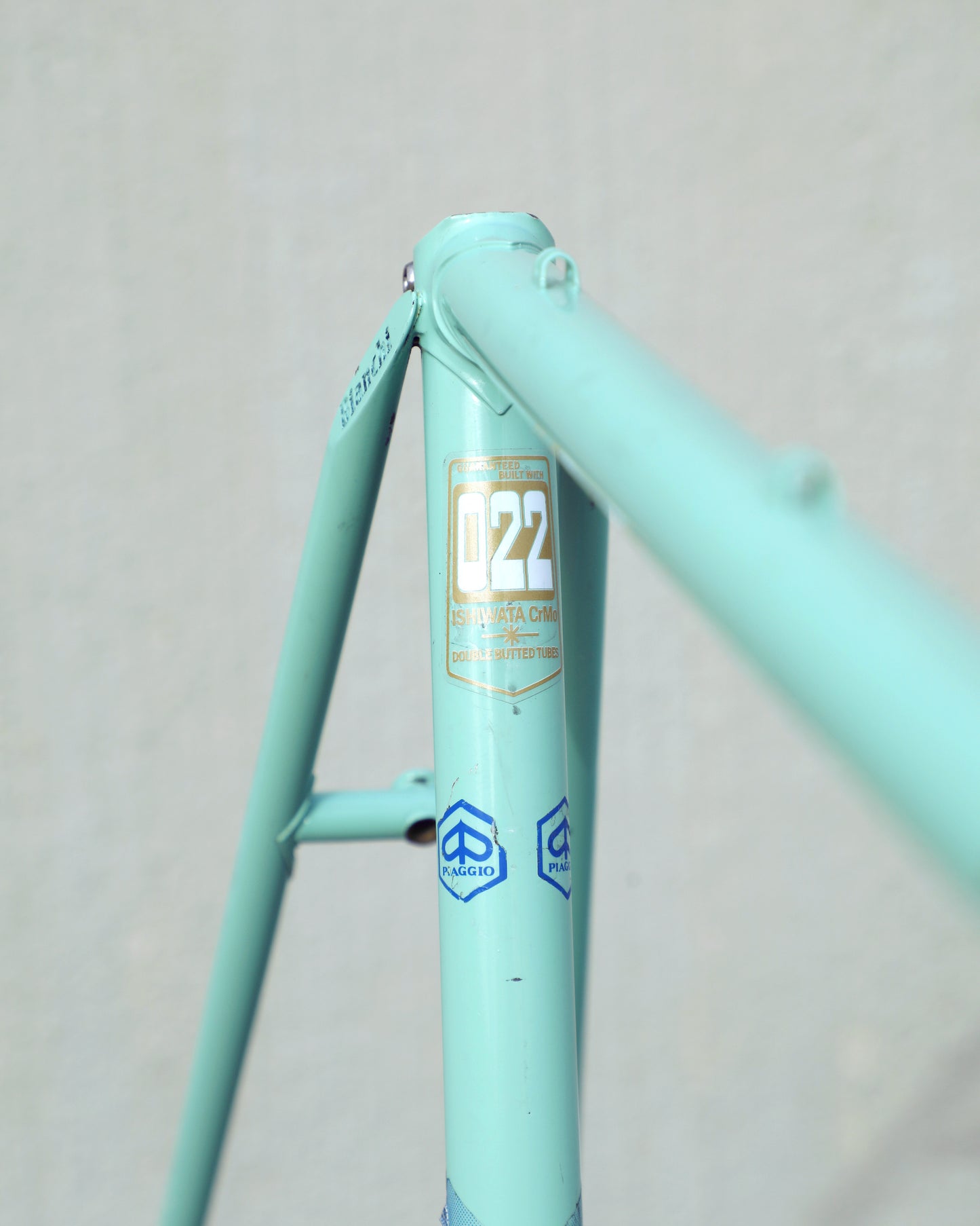 Bianchi Professional