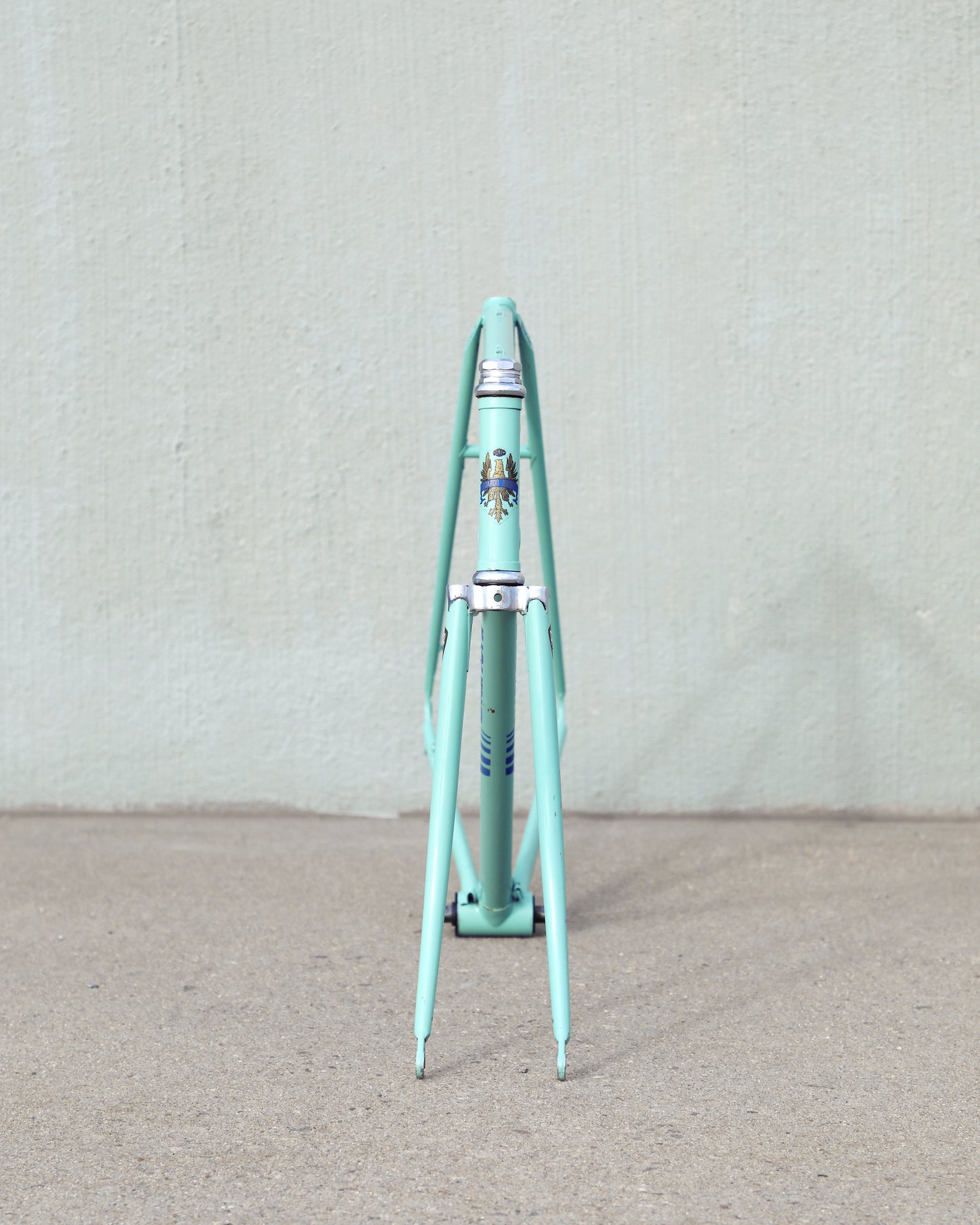 Bianchi Professional