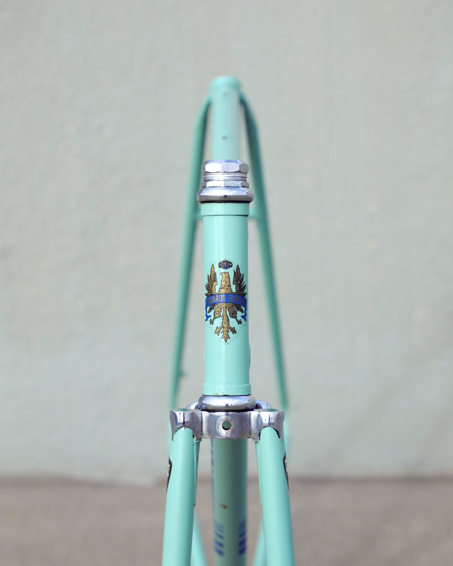 Bianchi Professional