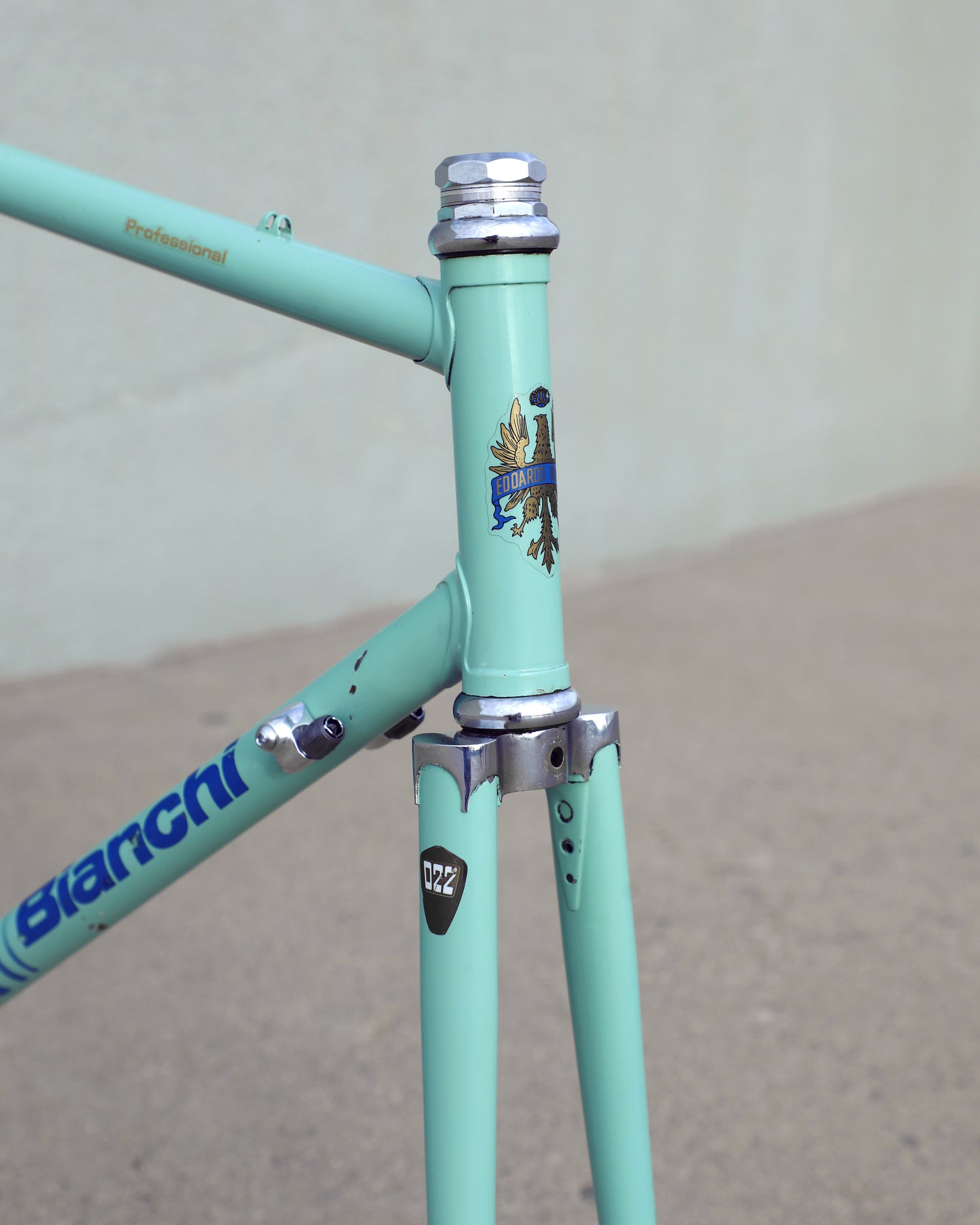 Bianchi Professional