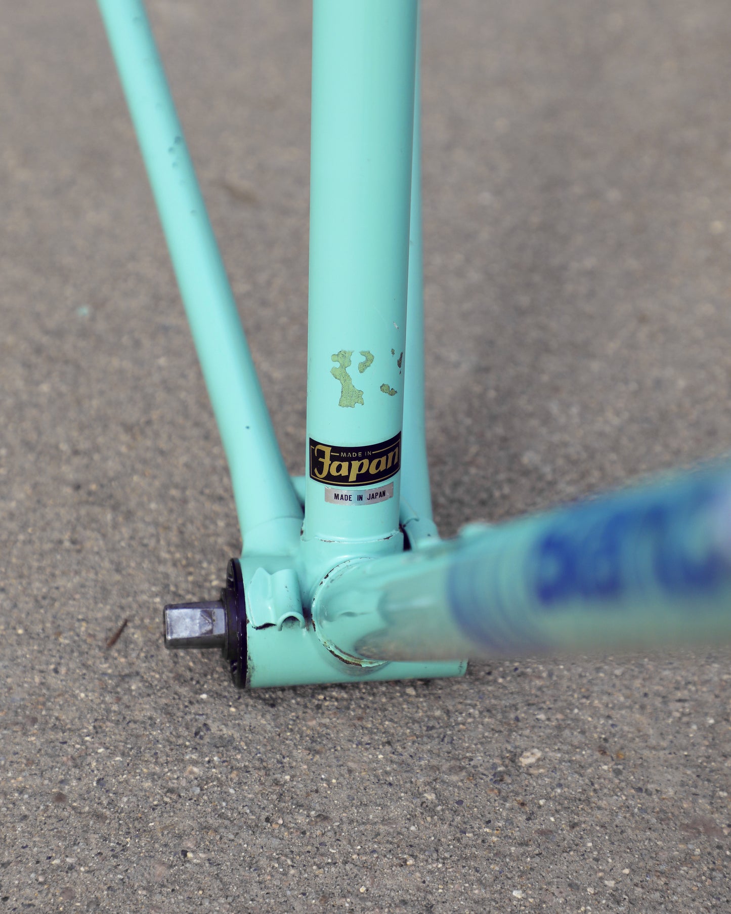 Bianchi Professional