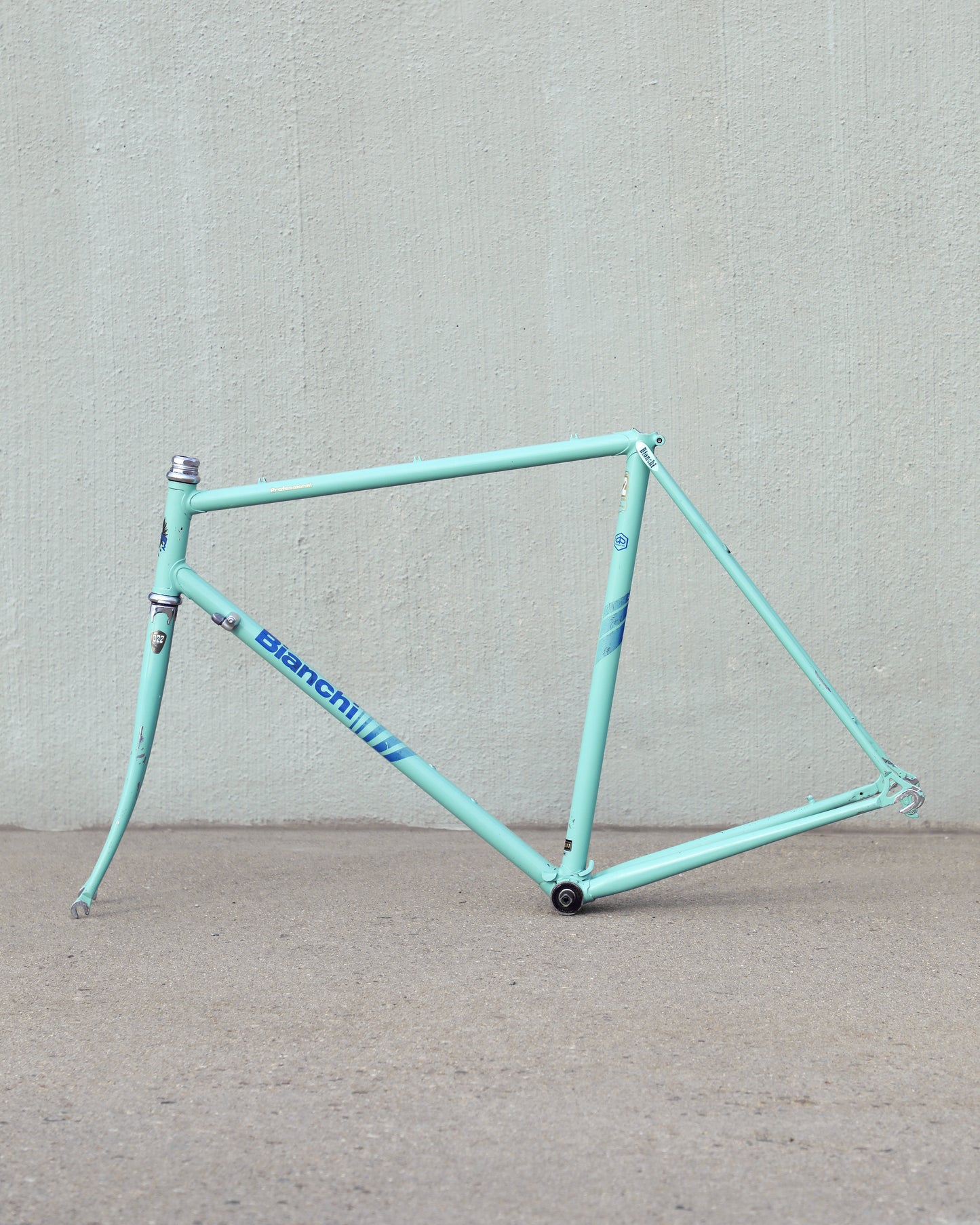 Bianchi Professional