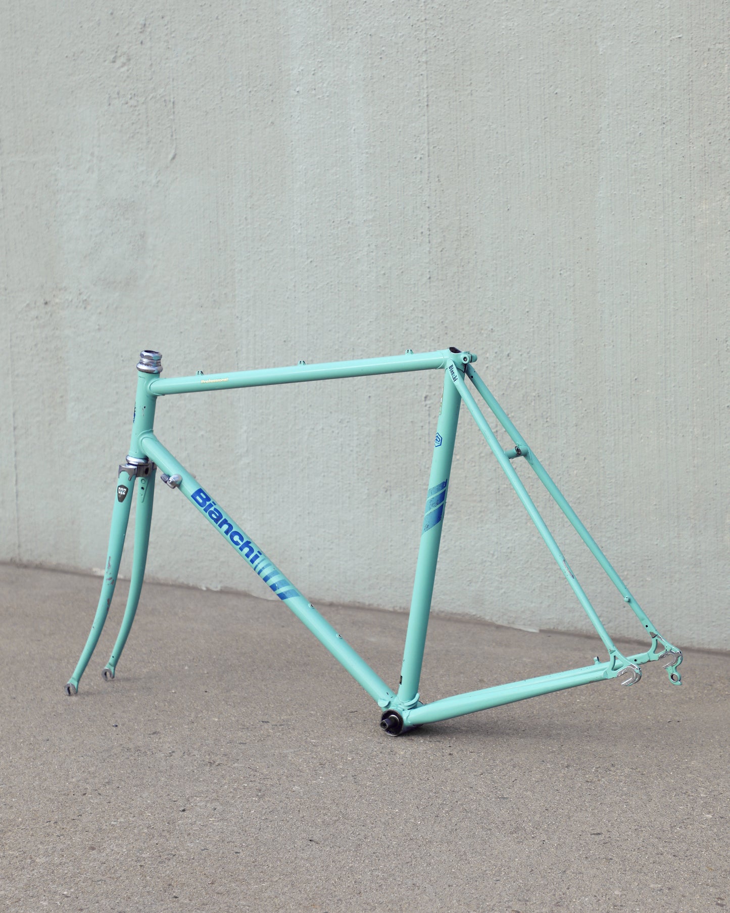 Bianchi Professional