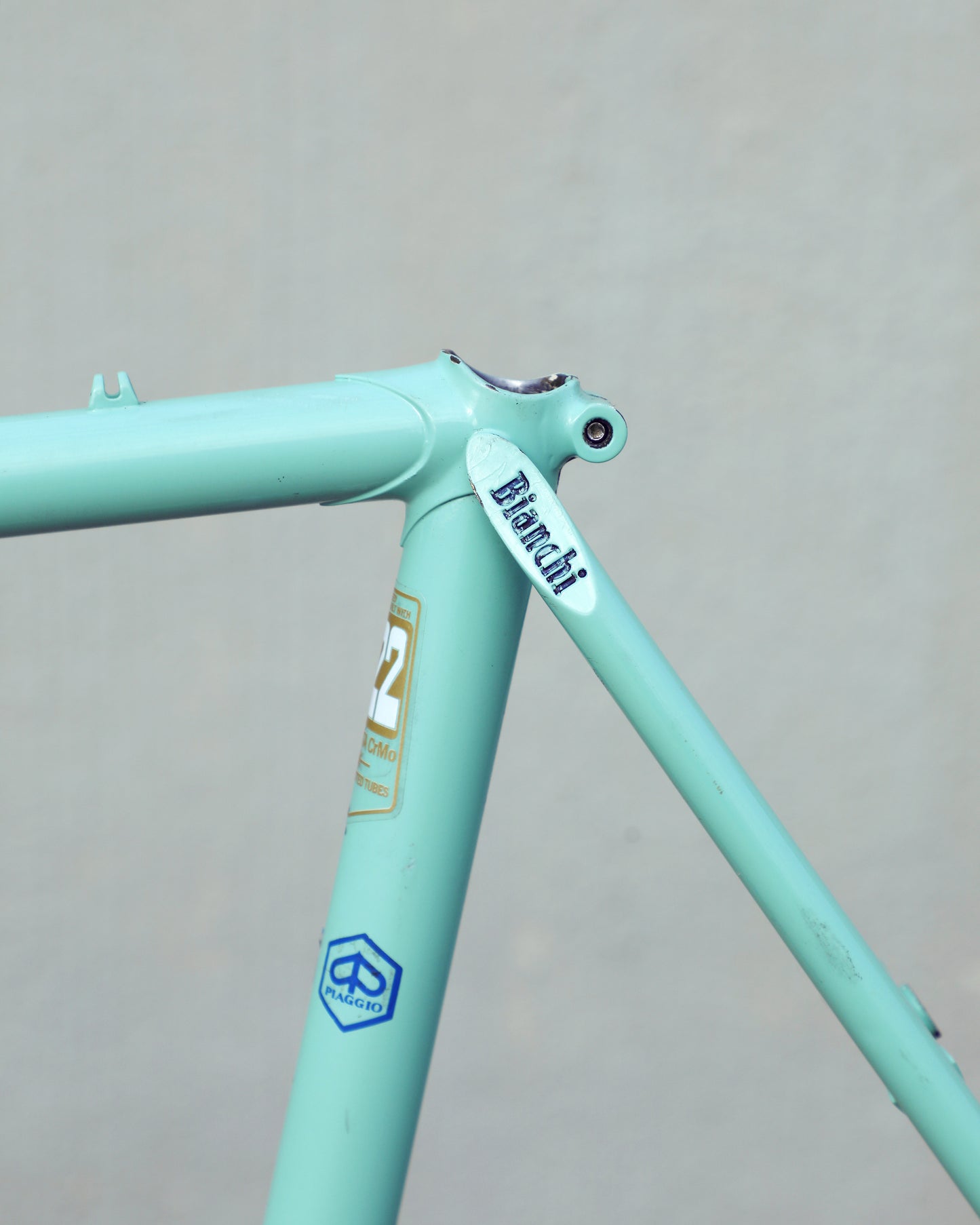 Bianchi Professional
