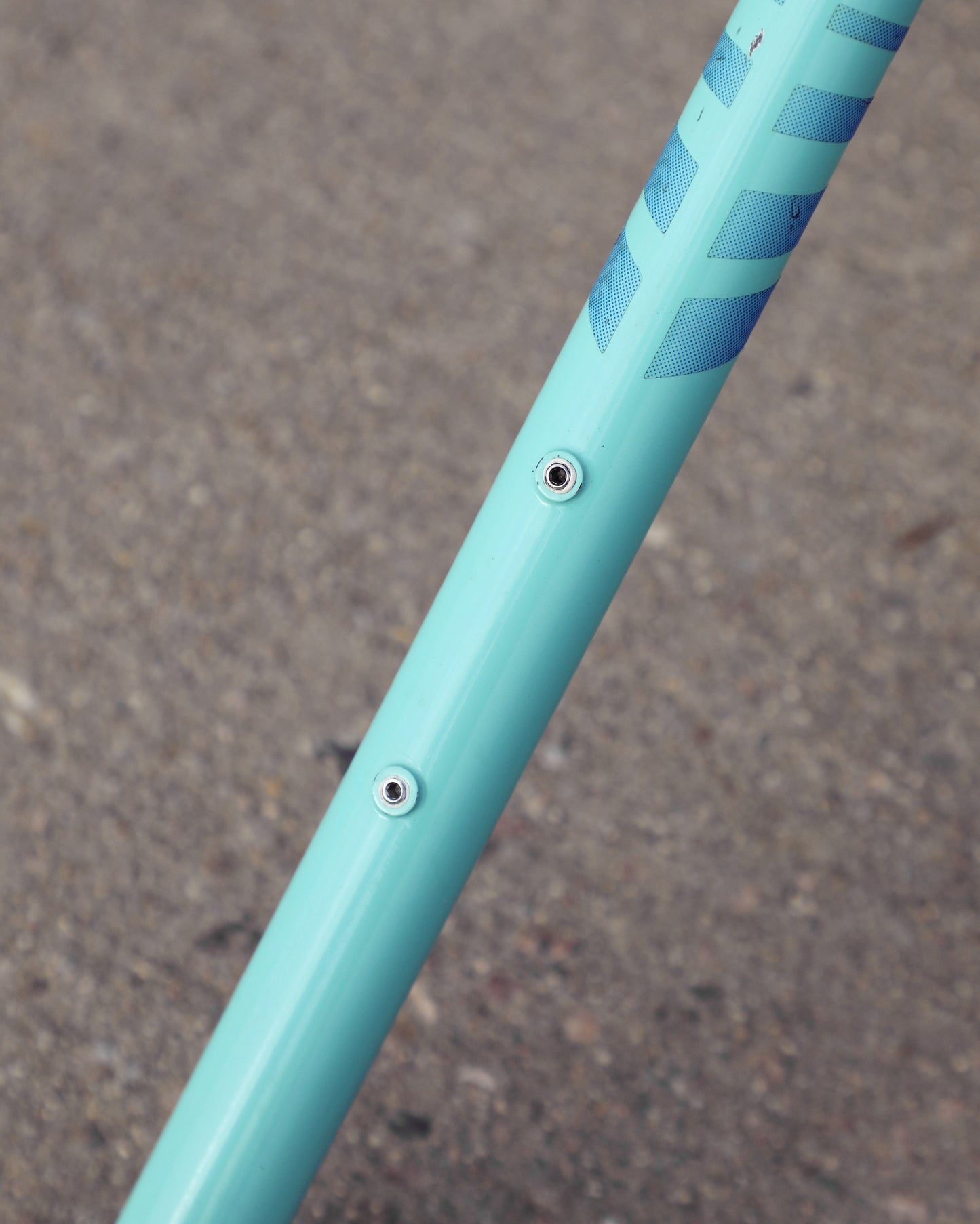 Bianchi Professional