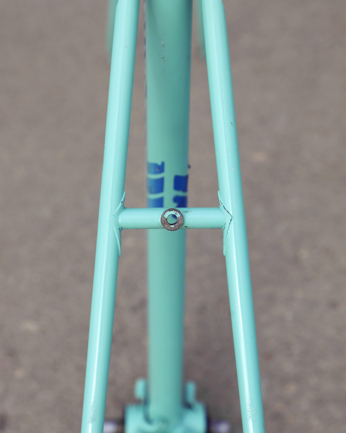 Bianchi Professional