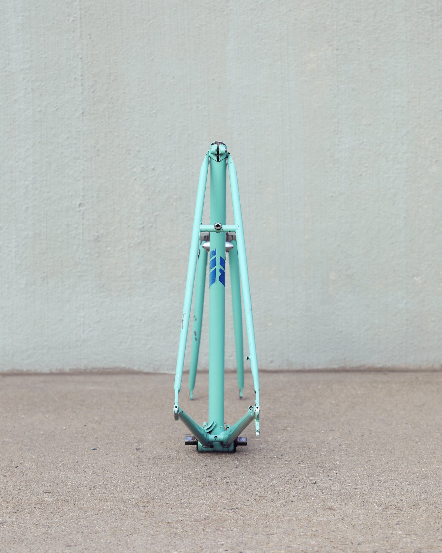 Bianchi Professional