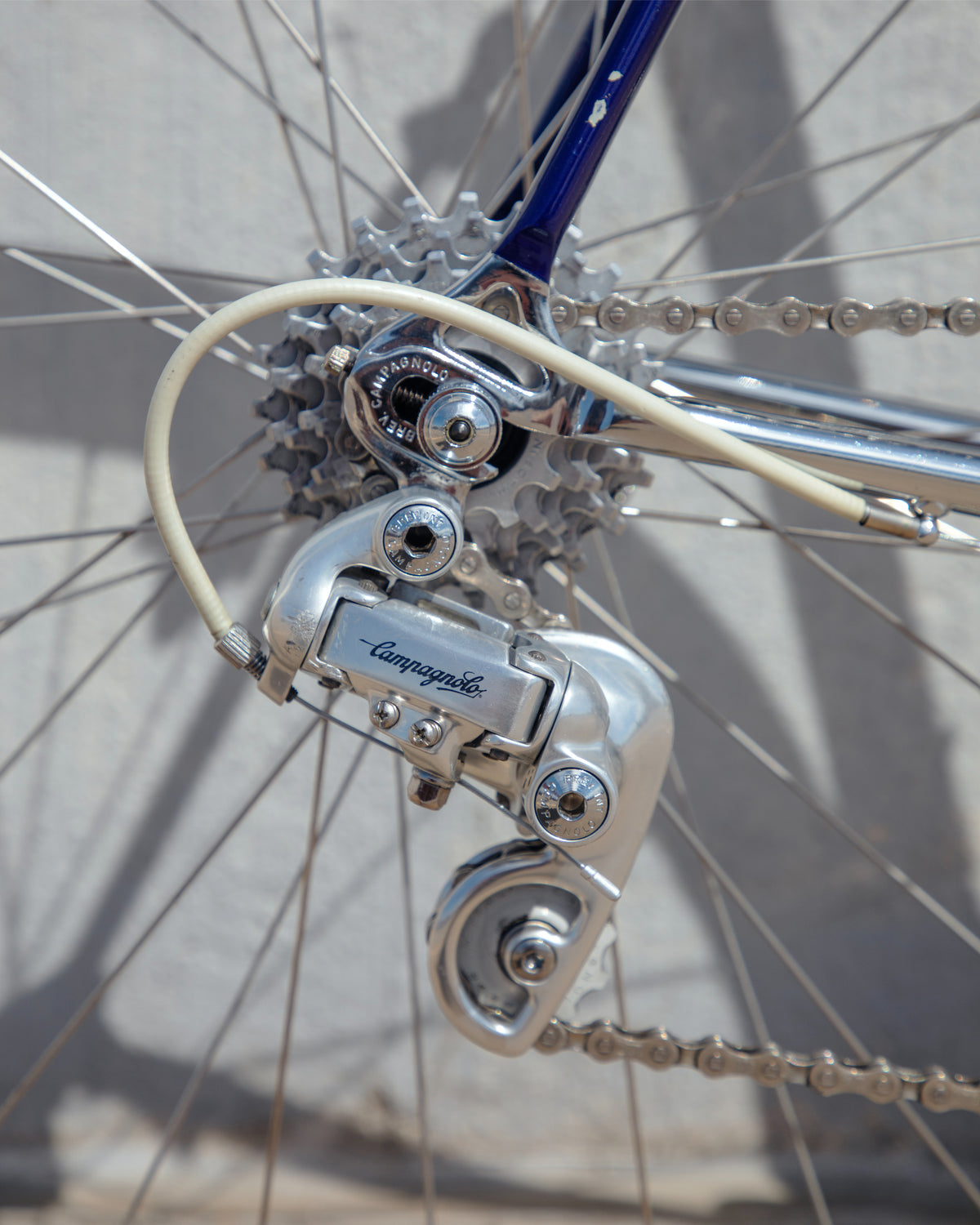 Eddy Merckx 10th Anniversary