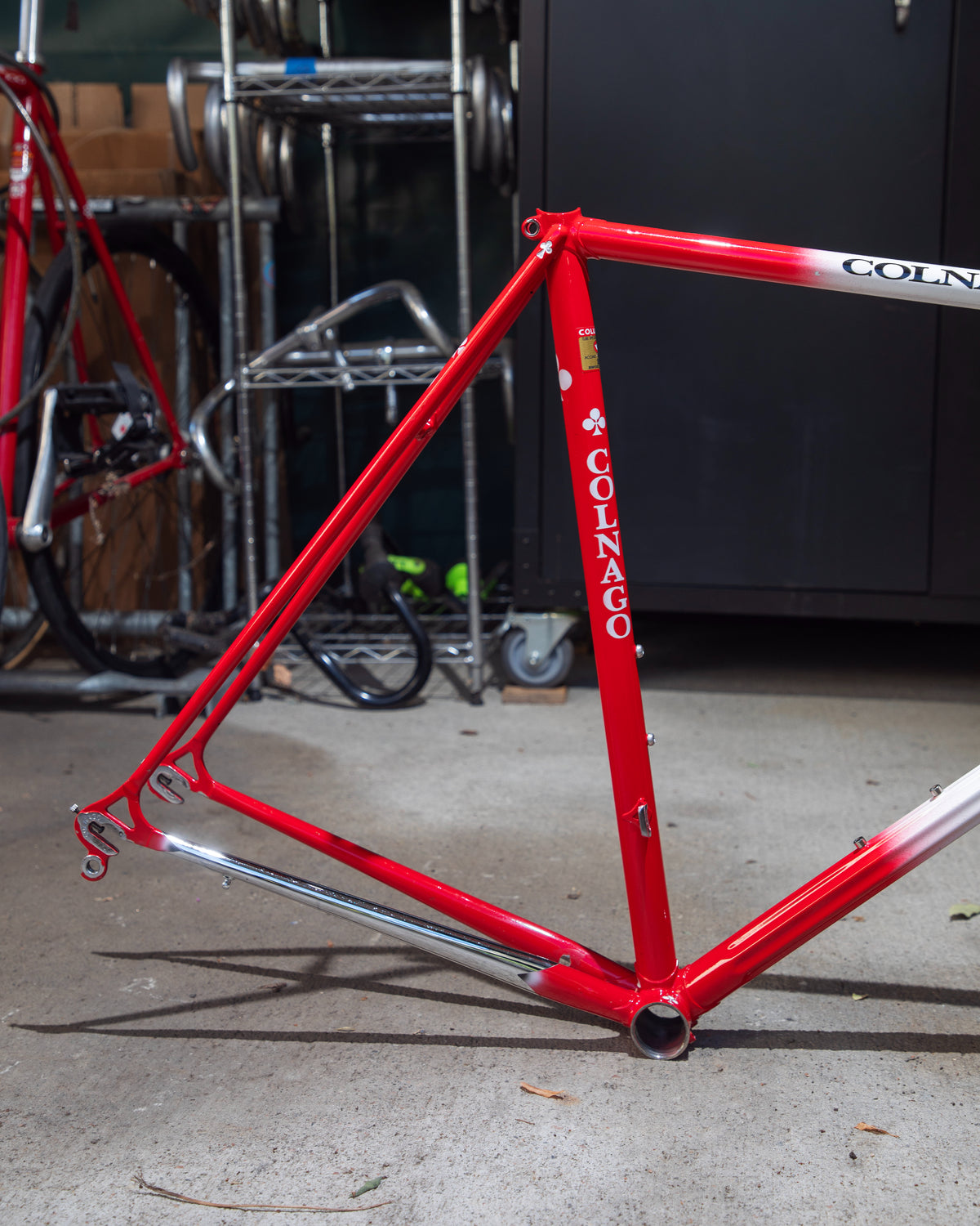 Colnago Master